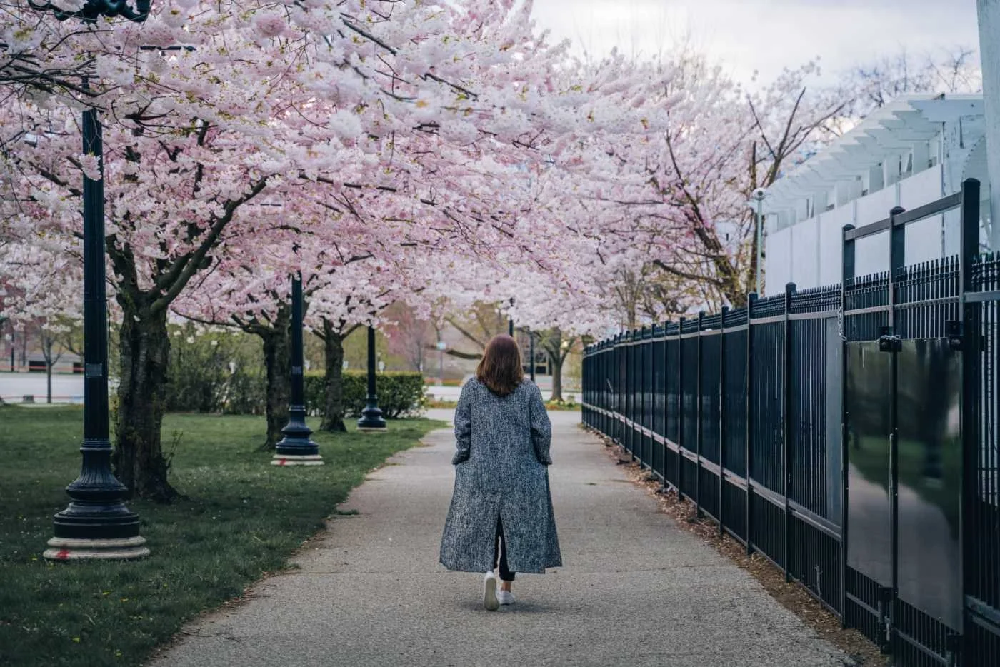 🌸 Spring in Toronto: The Ultimate Guide to Enjoying the City as It Comes Alive