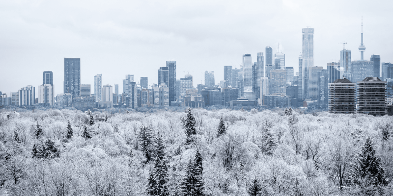 Winter Wonderland: The Best Things to Do in Toronto This Season