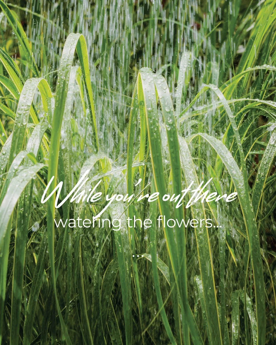 While you're out there watering the flowers this week, take an extra 30 seconds to look at your foundation.⁠
⁠
Summer is actually one of the best times to spot potential issues since the ground is dry, and you're probably already spending more time o