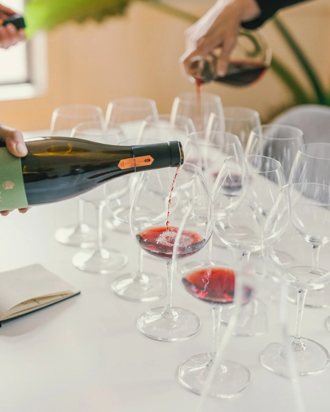 General 2 — Mason Vineyard