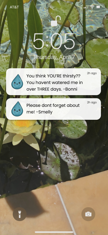 notifications (1).png