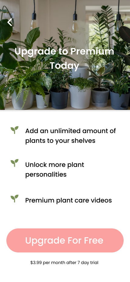 upgrade to premium (2).png