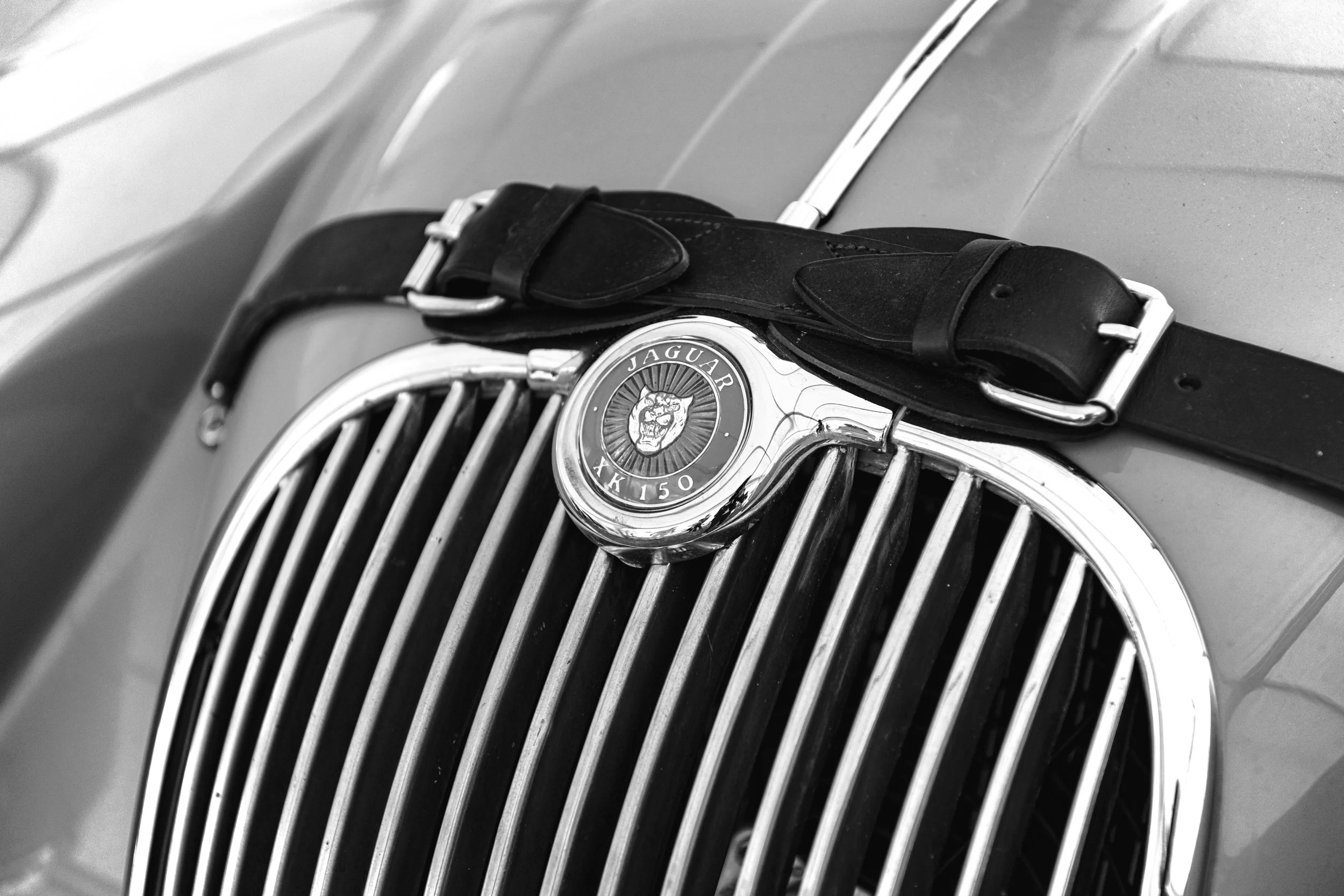 B747BDBC-B3EE-4B13-9425-622C7CA88D3D copy.jpg