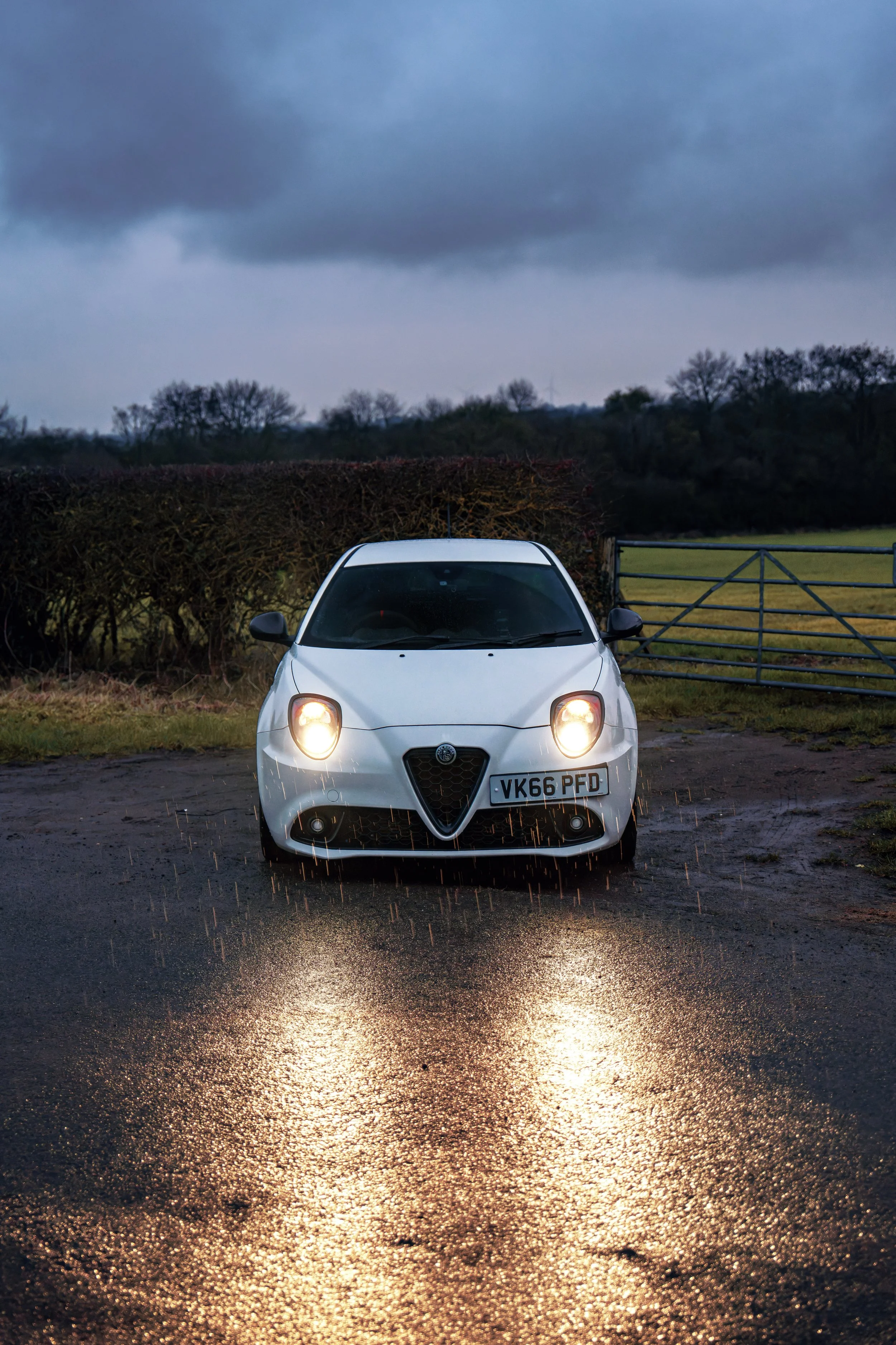 DSC06089-Enhanced-NR copy.jpg