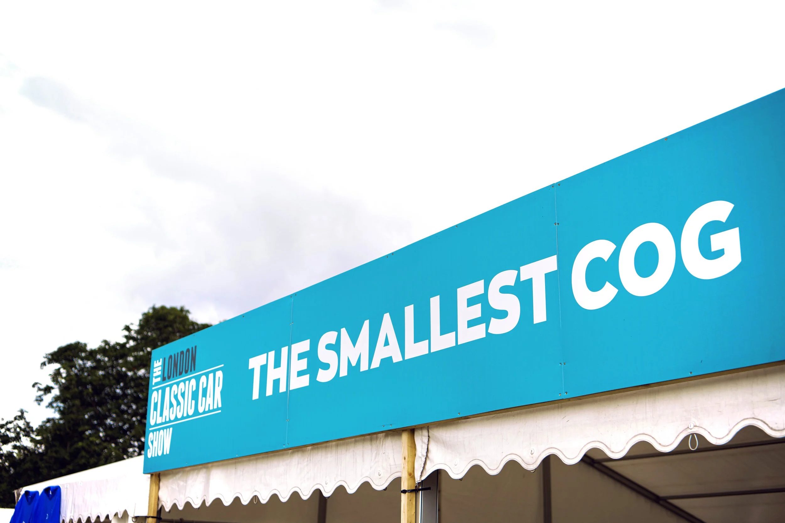 86DF20D8-7237-469D-B6CB-29BF9ACDEDB2 copy.jpg