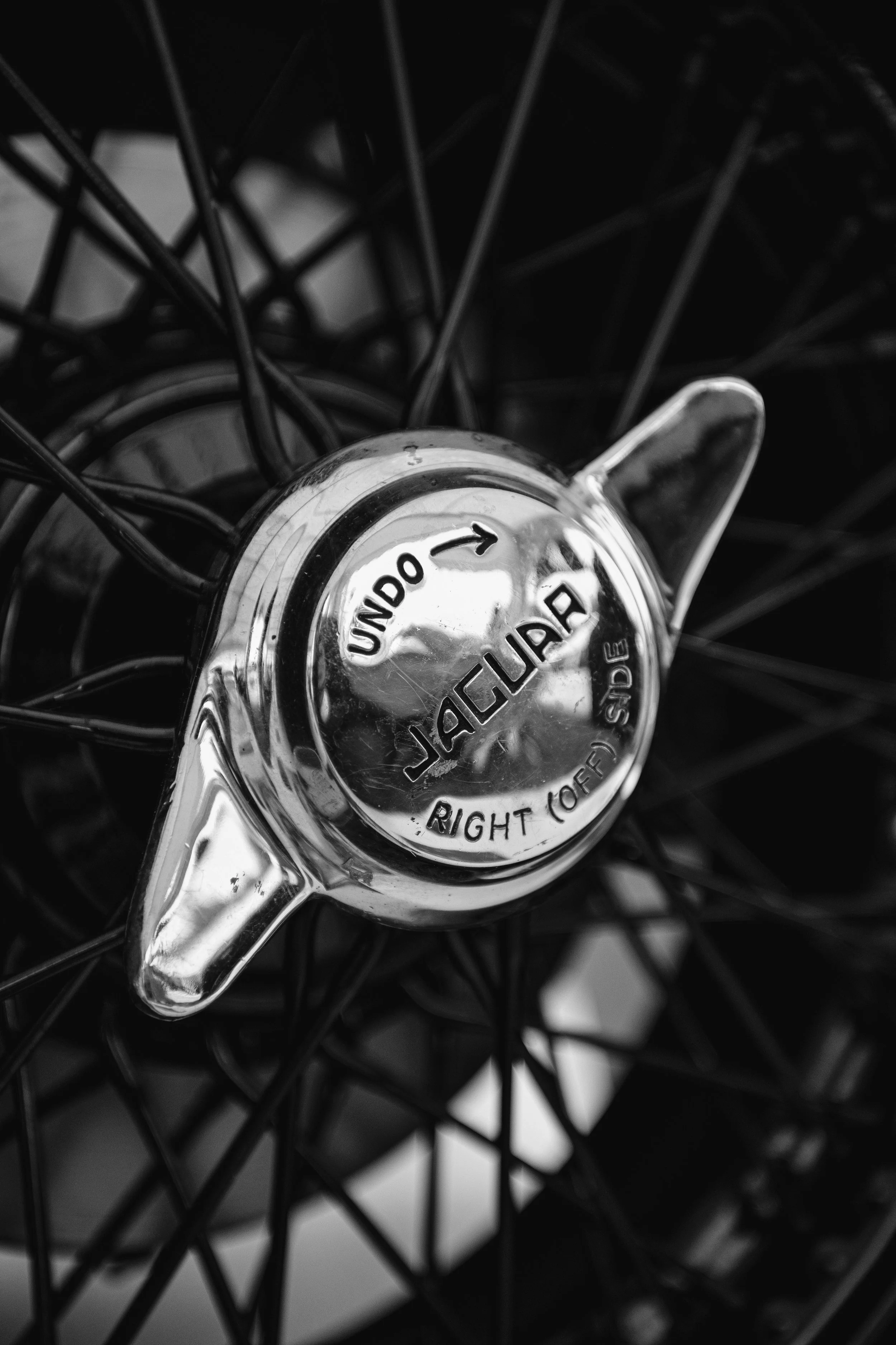 738D002C-B8F7-44E7-A52E-FC6249A7354B copy.jpg