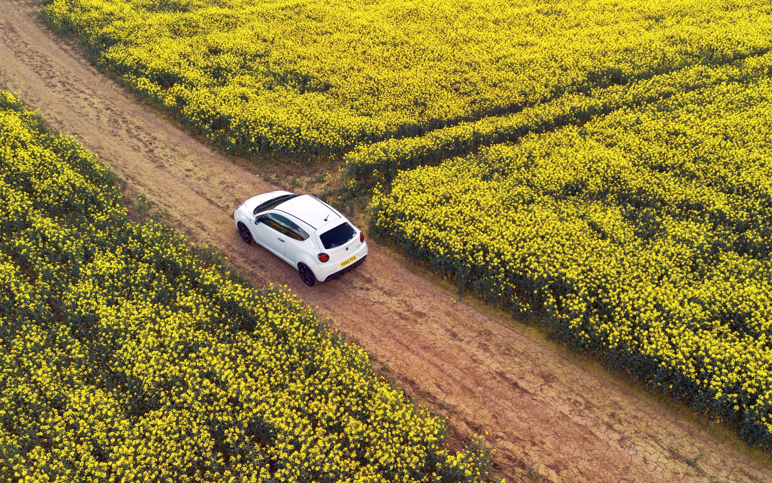 DJI_0093-Enhanced-SR copy 3.jpg