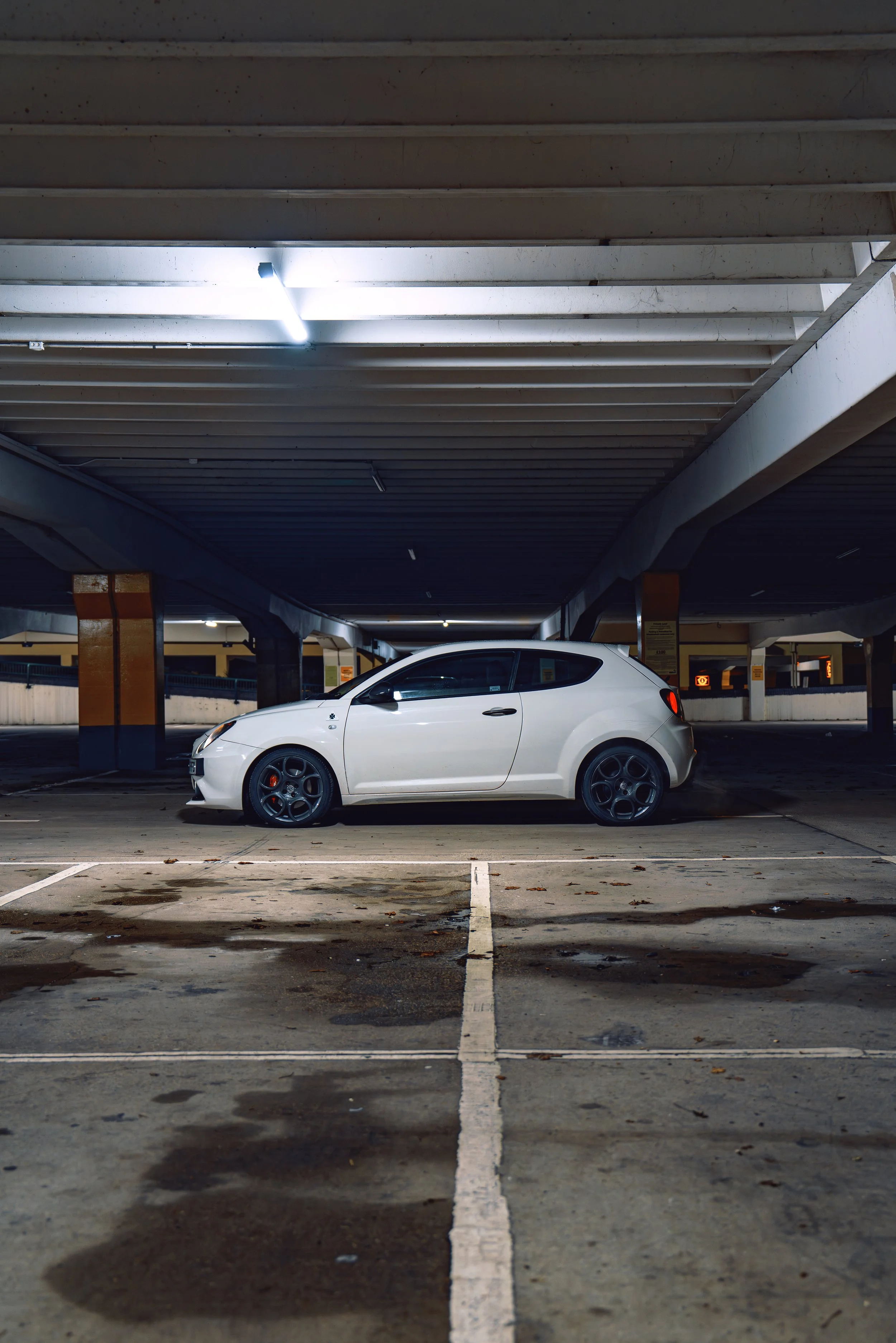 DSC07742-Enhanced-NR copy.jpg