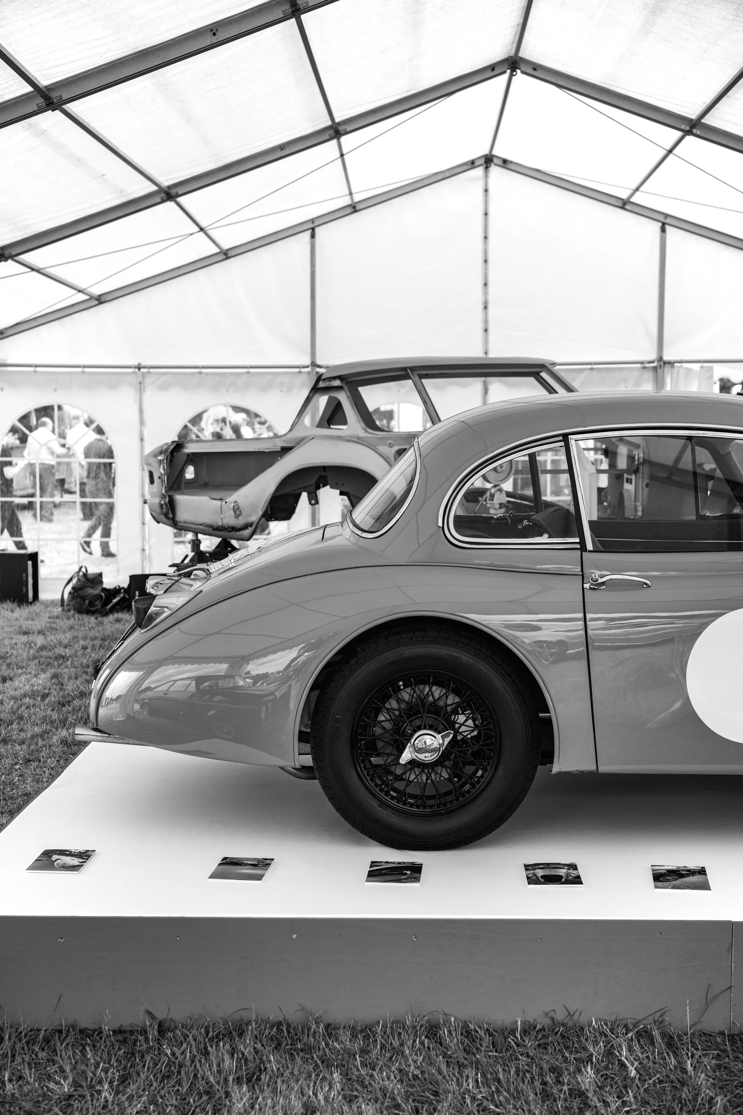 6B5A772B-4417-4B50-A2A3-0EB80FD93676 copy.jpg