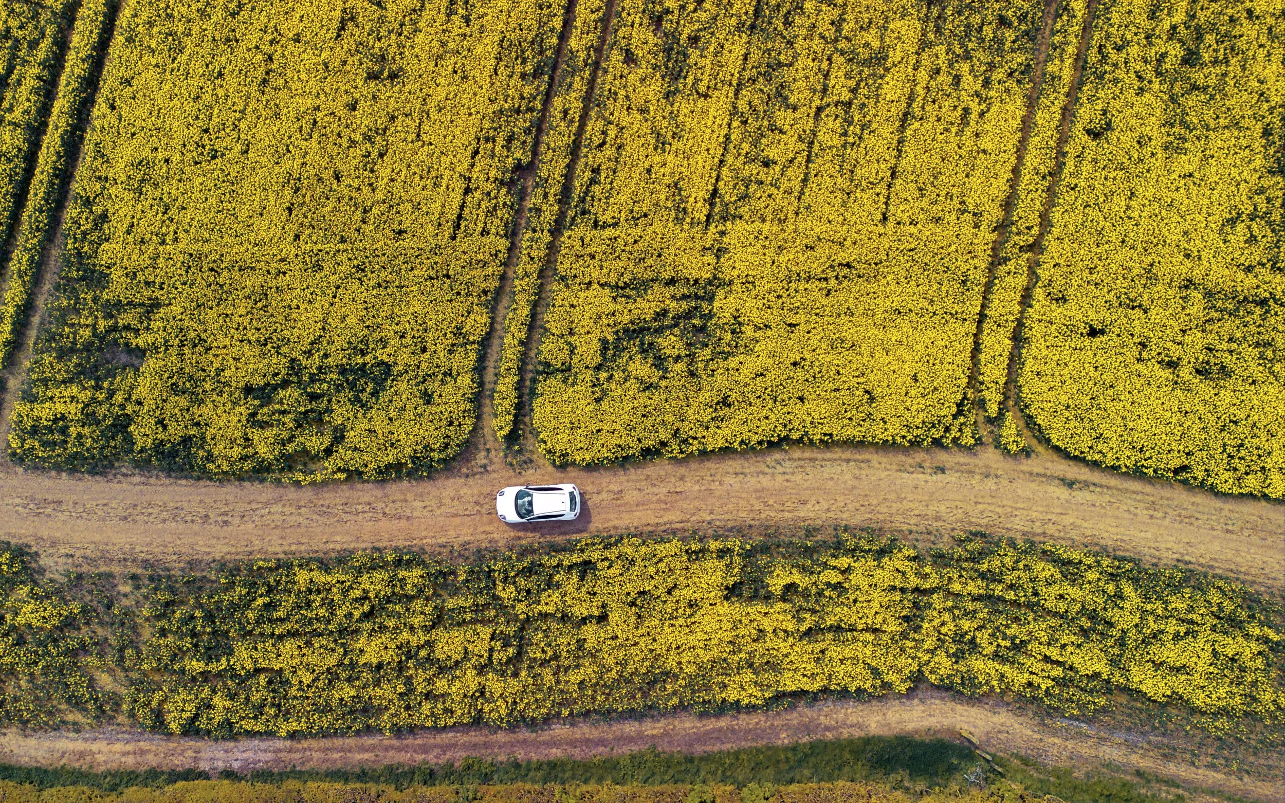DJI_0089-Enhanced-SR copy 2.jpg