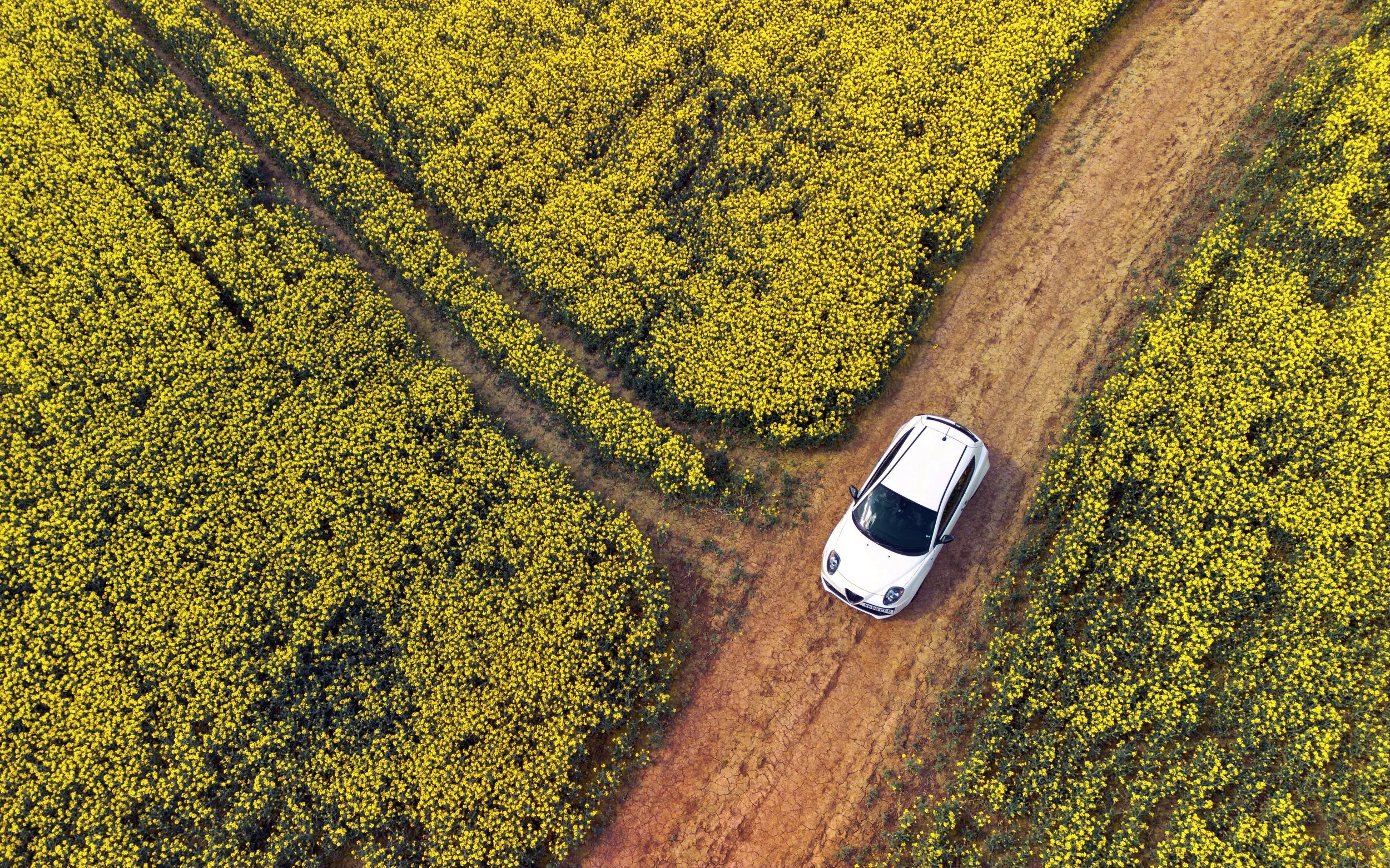 DJI_0092-Enhanced-SR copy 3.jpg
