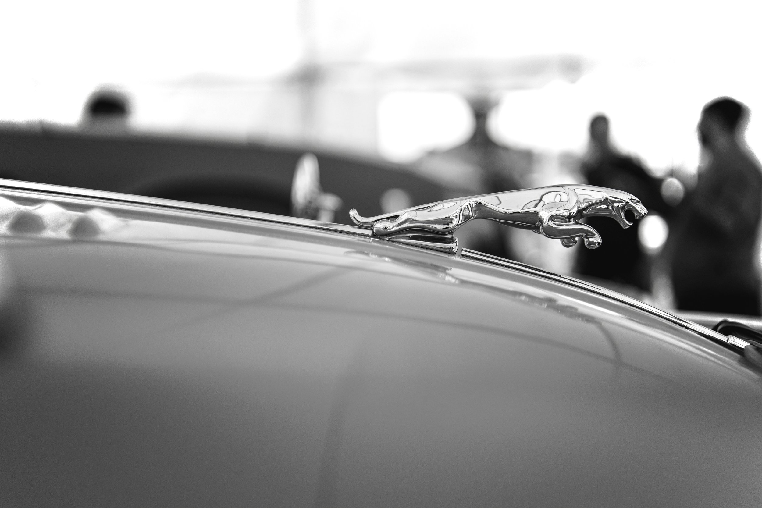 CFF36AFF-B7A8-45D6-B53D-BB7B051E454D copy.jpg