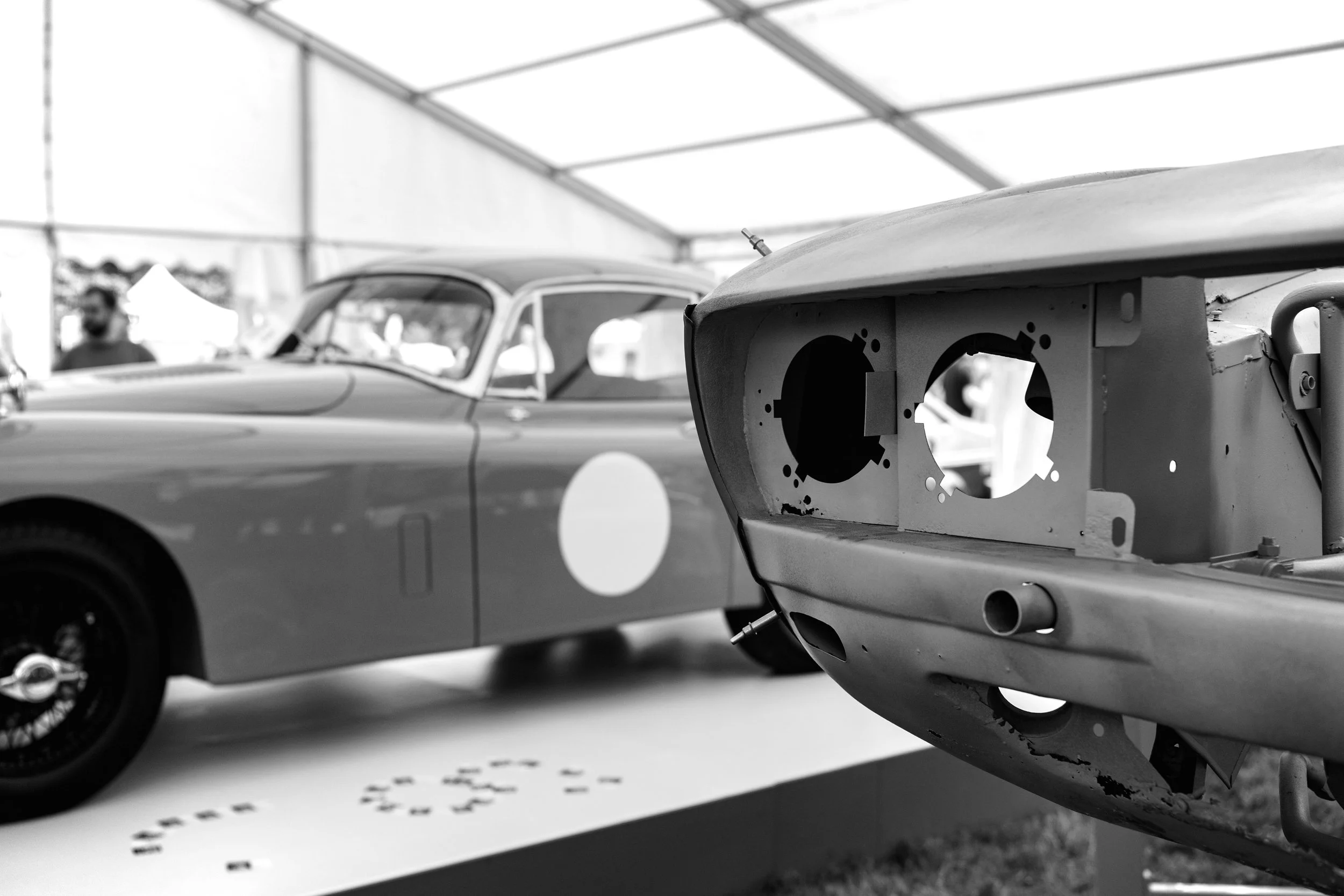 226F86F5-8EB5-413C-BADE-6B3D73675BD4 copy.jpg