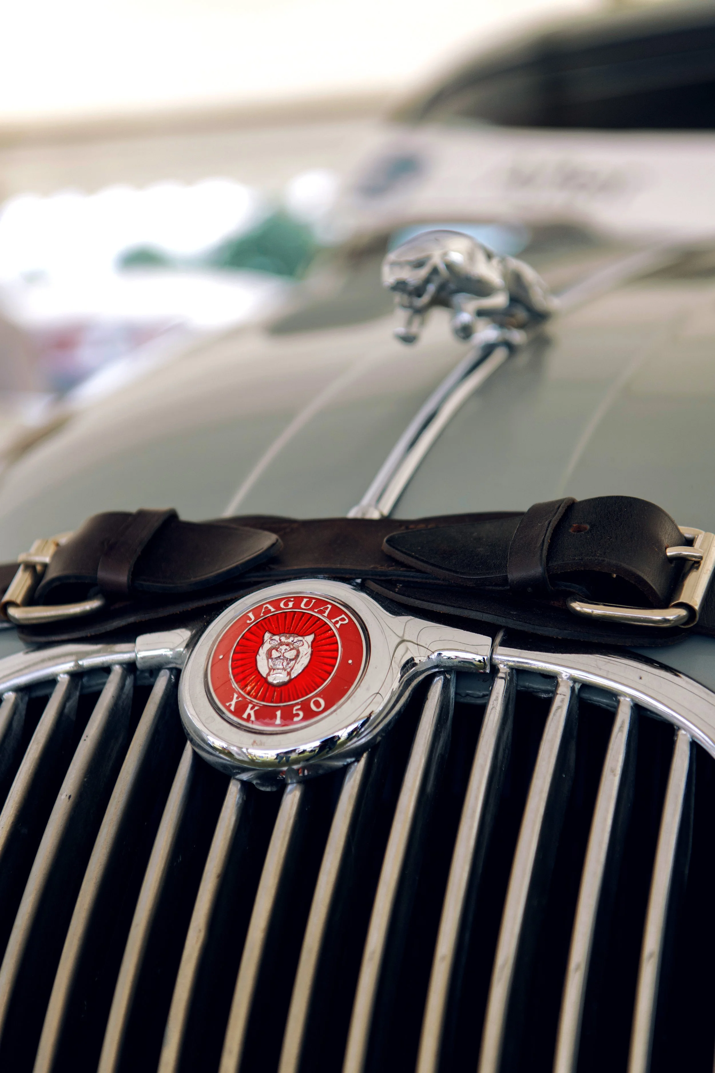 9DEBE950-E6FA-4D65-B26D-C6D53A0DAB38 copy.jpg