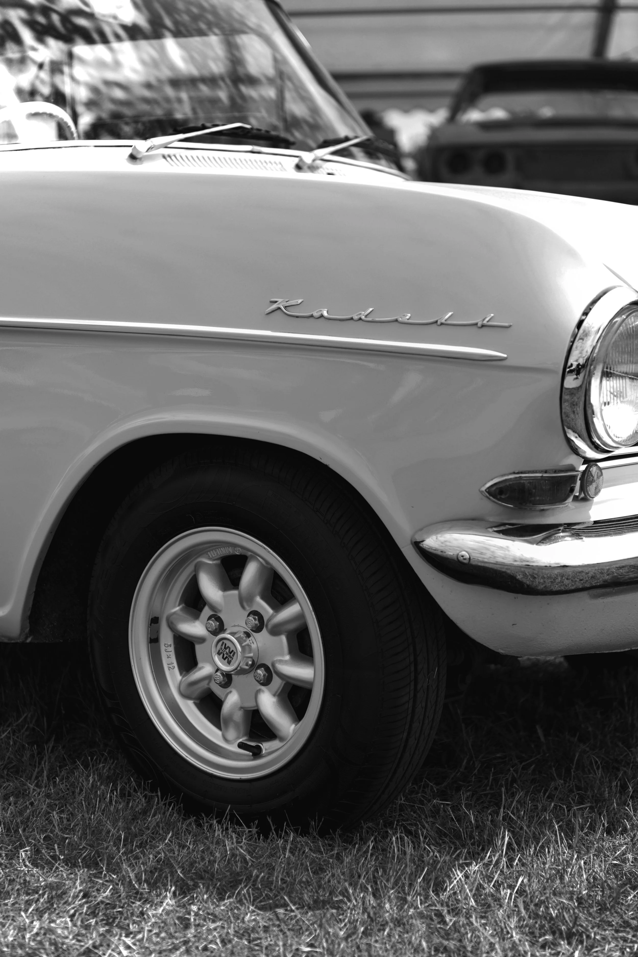 B4675430-352D-42AE-BF22-B40954202117 copy.jpg