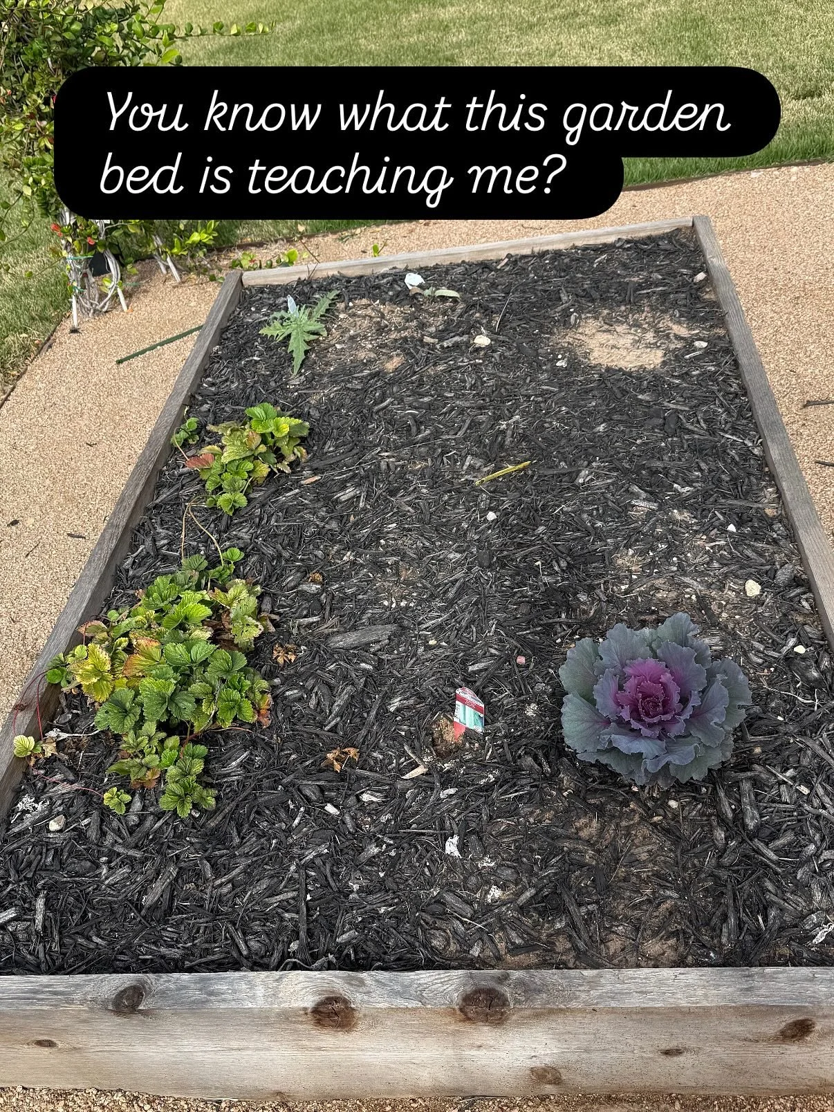 Some feelings from my fav place this morning ☕️

Thoughts and packed schedules are great, but there&rsquo;s so much beauty in pausing and reflecting. 

More than anything, this is my reminder that as a small business owner, I need time and space for 