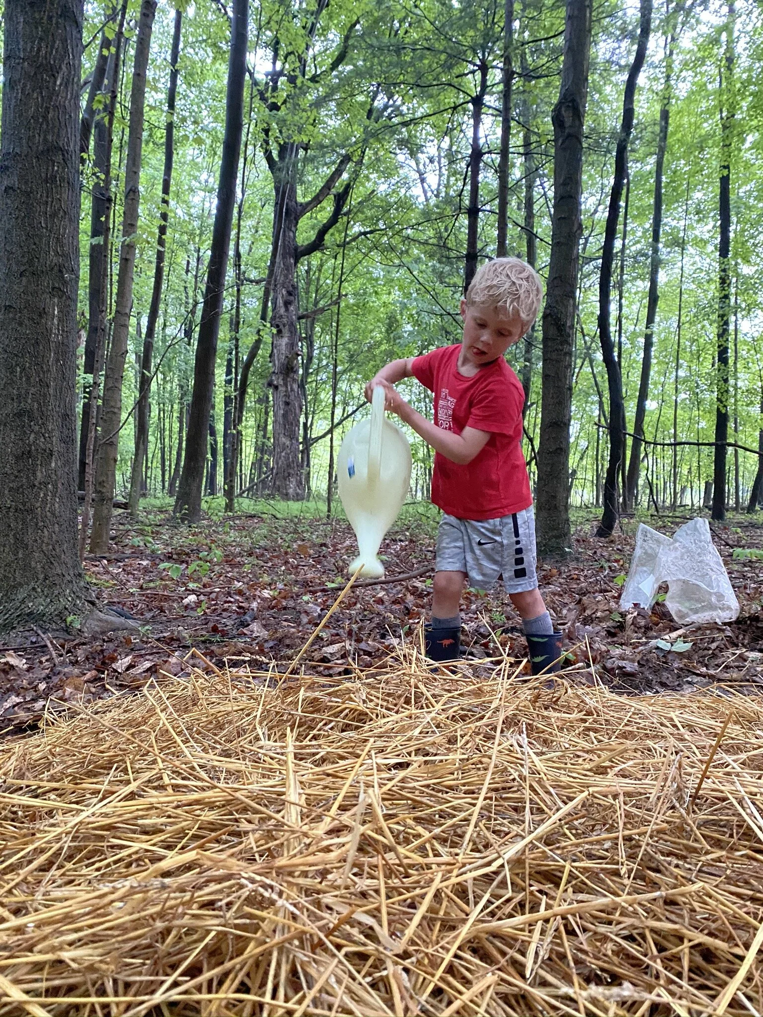 About — Arcadia Acres