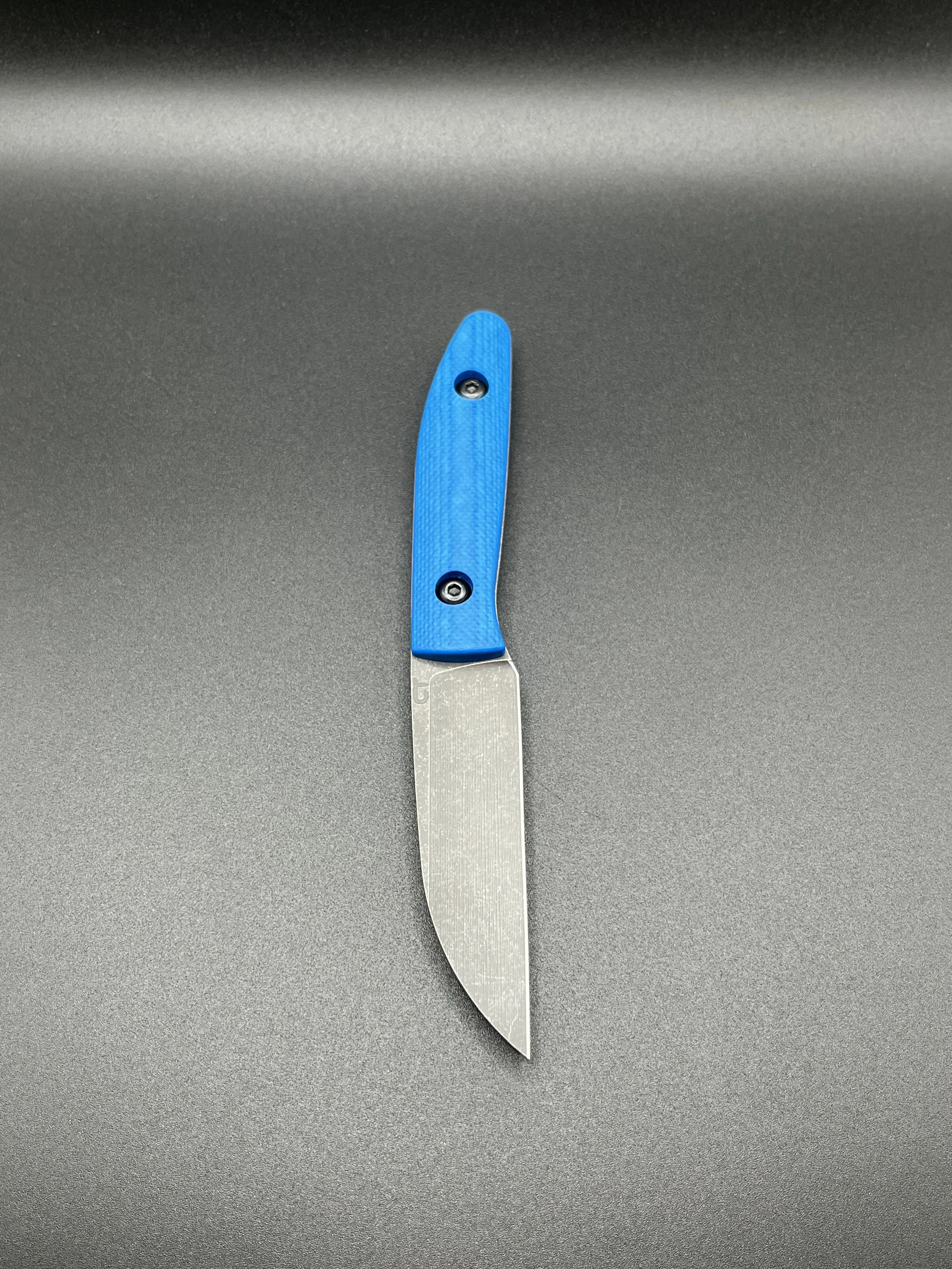 comanche blue4.jpeg