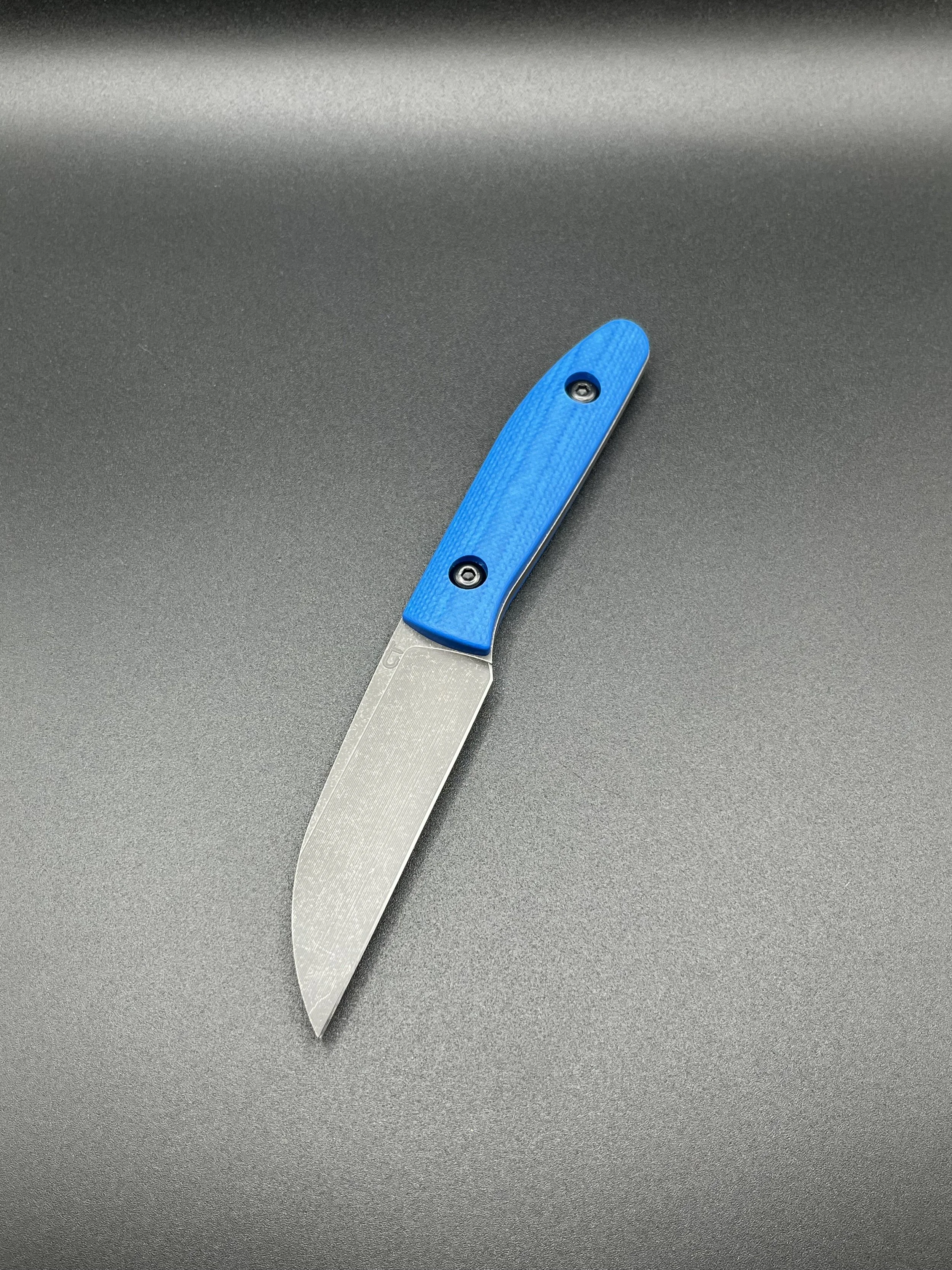 comanche blue.jpeg