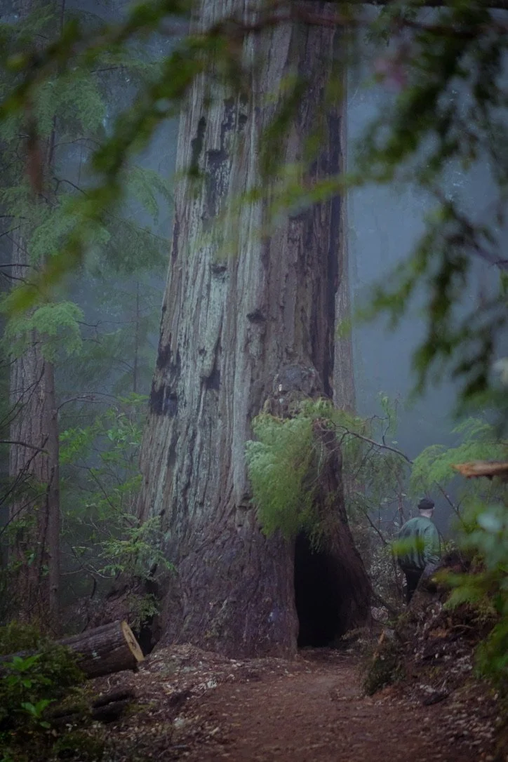 Landscape Photography