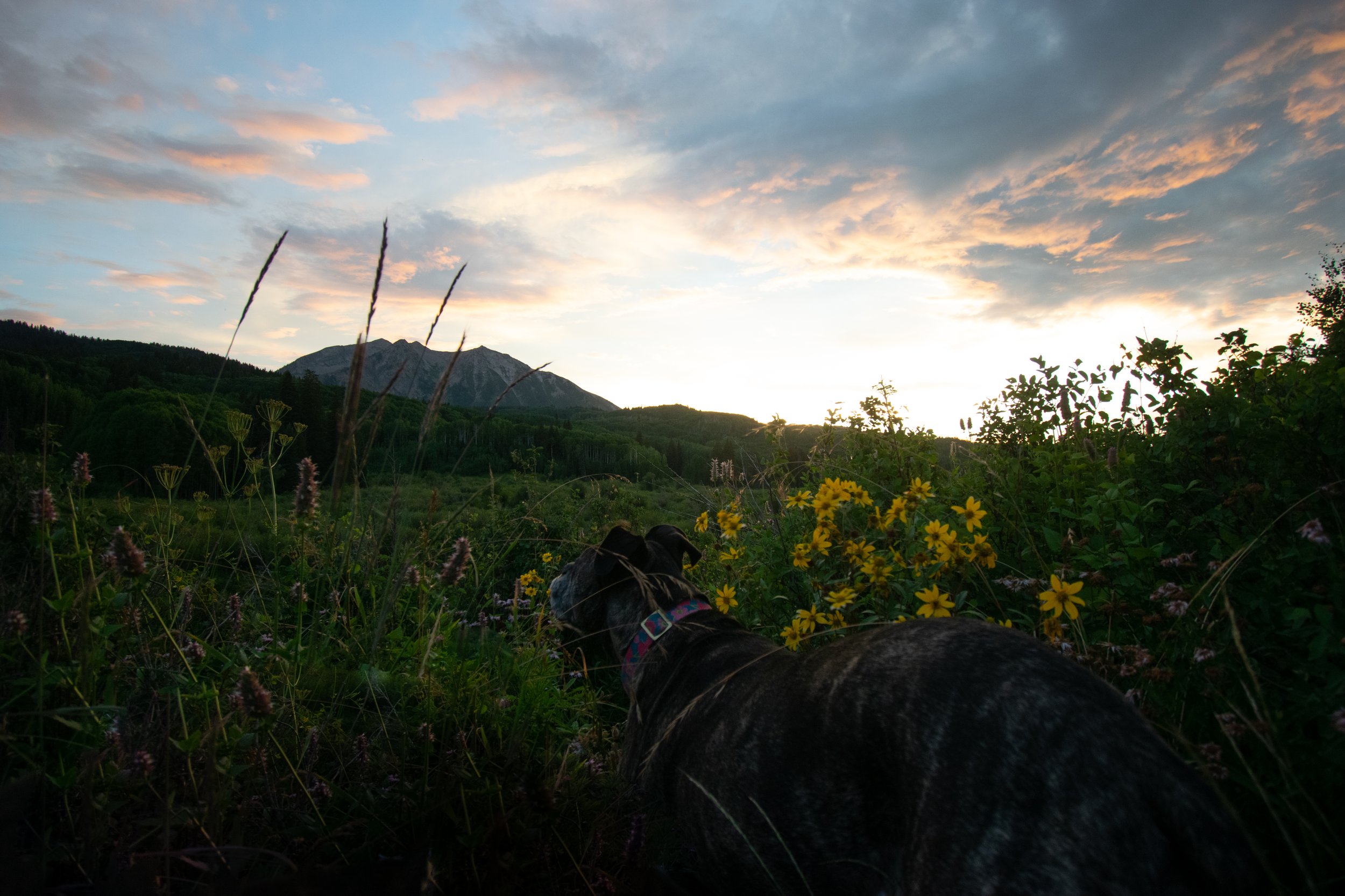 DSC_0146.jpg
