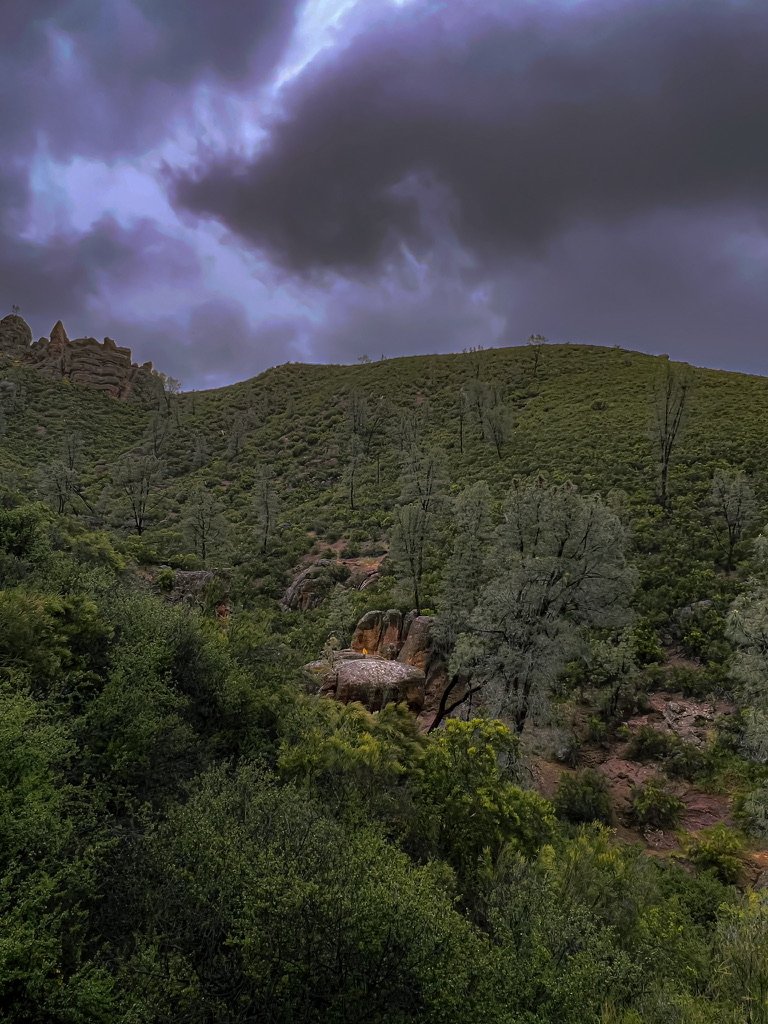 C4443B42-7A68-43FF-B0E7-59CC9CB7D0C6_1_105_c.jpeg