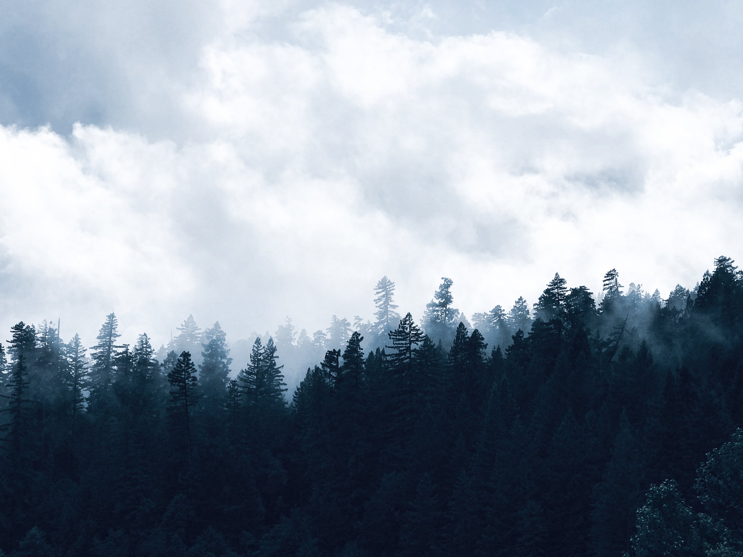 A6B48F37-F44C-4D63-BB1F-8235CBCB2D2F.jpeg
