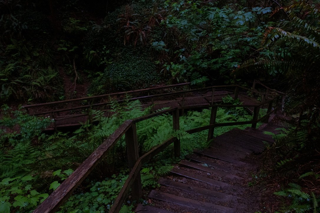 914BCC05-D648-491F-B1B1-E8D557B20570_1_105_c.jpeg