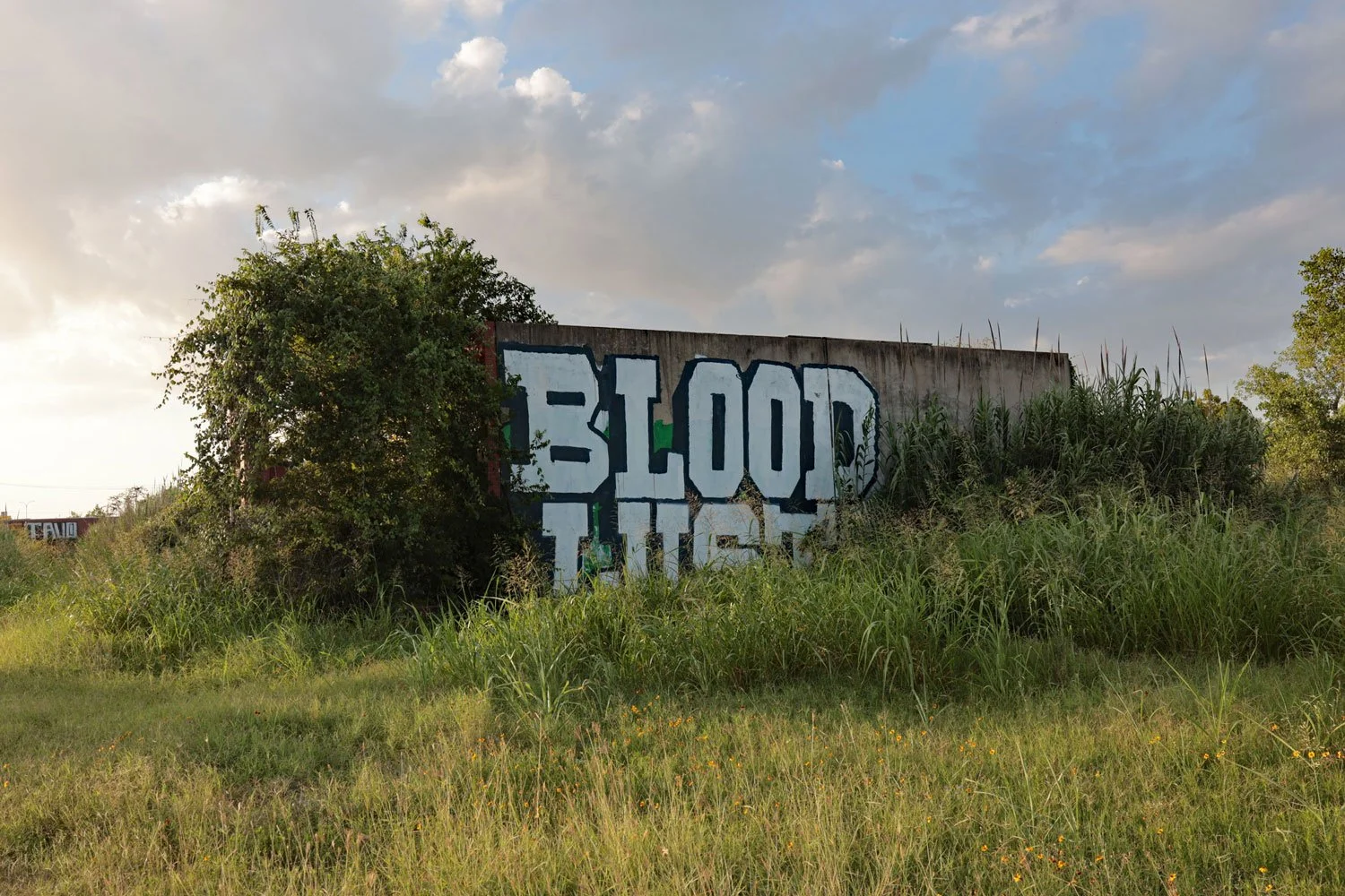 A concrete wall in a field in at sunset. Blood Lust is written on the wall.
