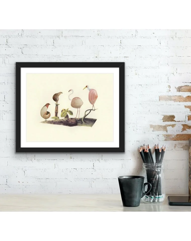 Collage of birds wearing shells