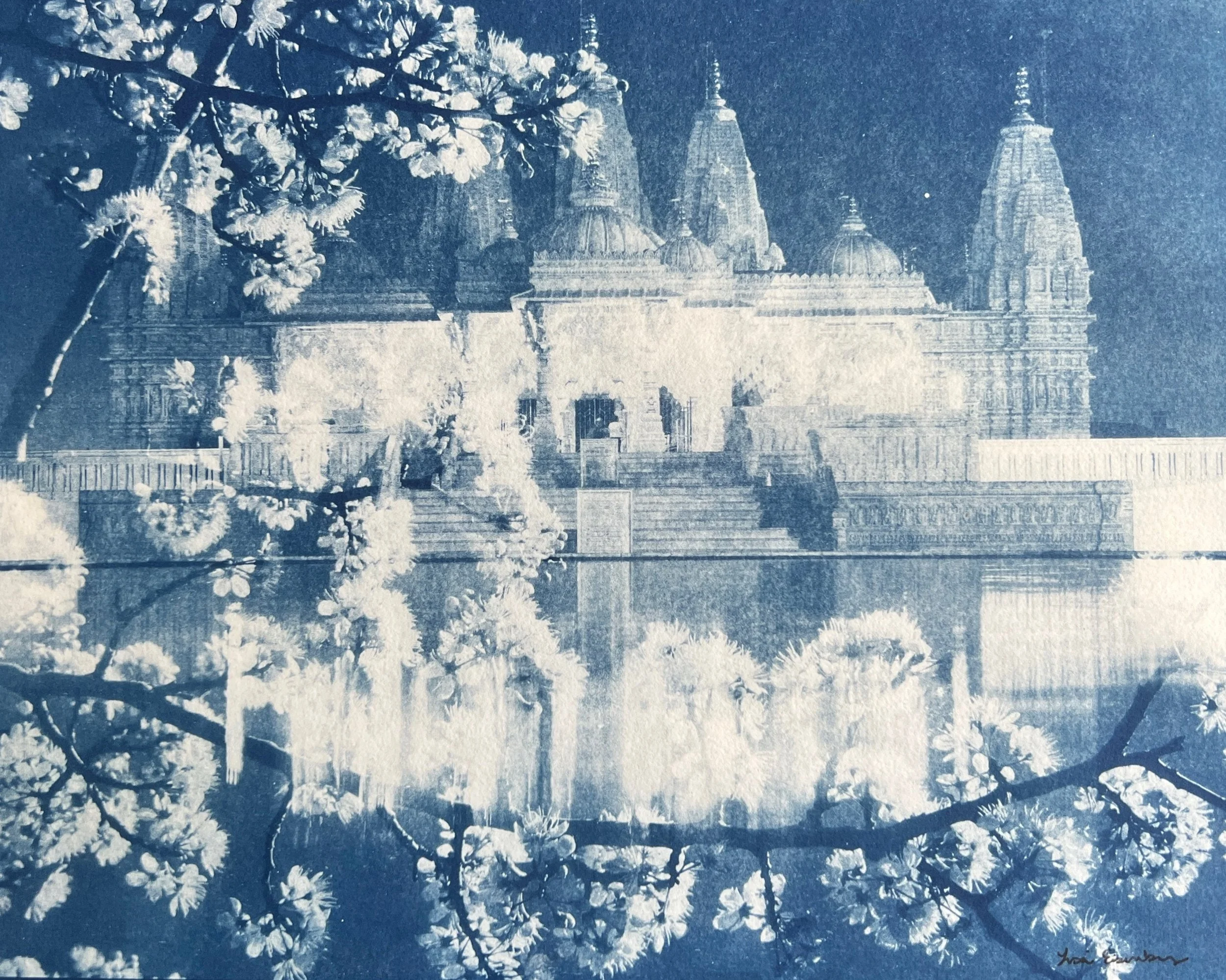 https://i.etsystatic.com/5129841/r/il/e36943/4955310666/il_fullxfull.4955310666_3zk6.jpg
