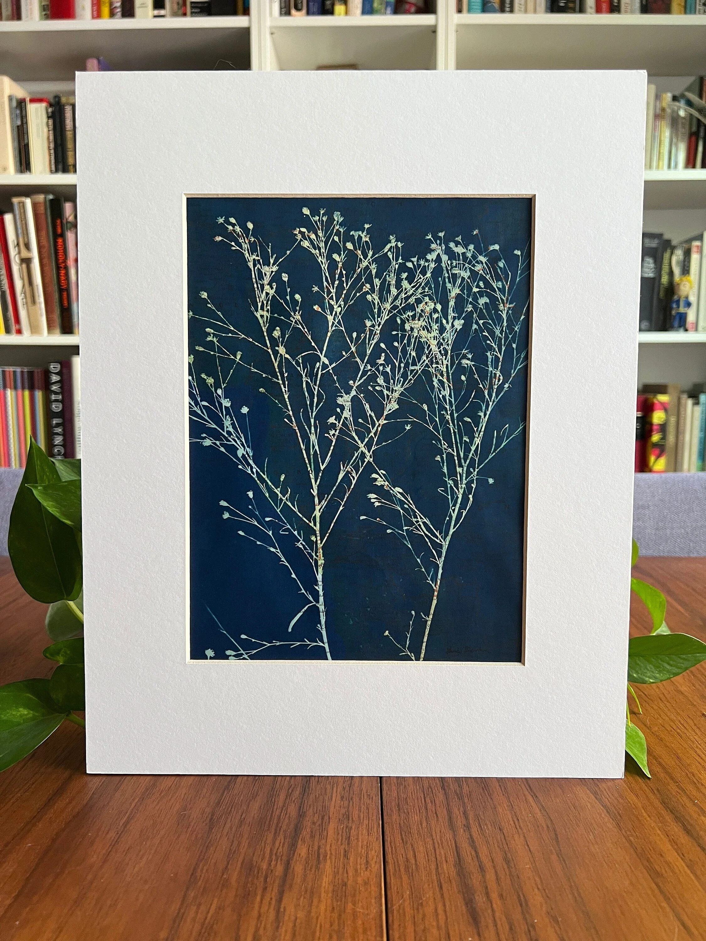 Original cyanotype featuring Texas wildflowers, printed on a map.