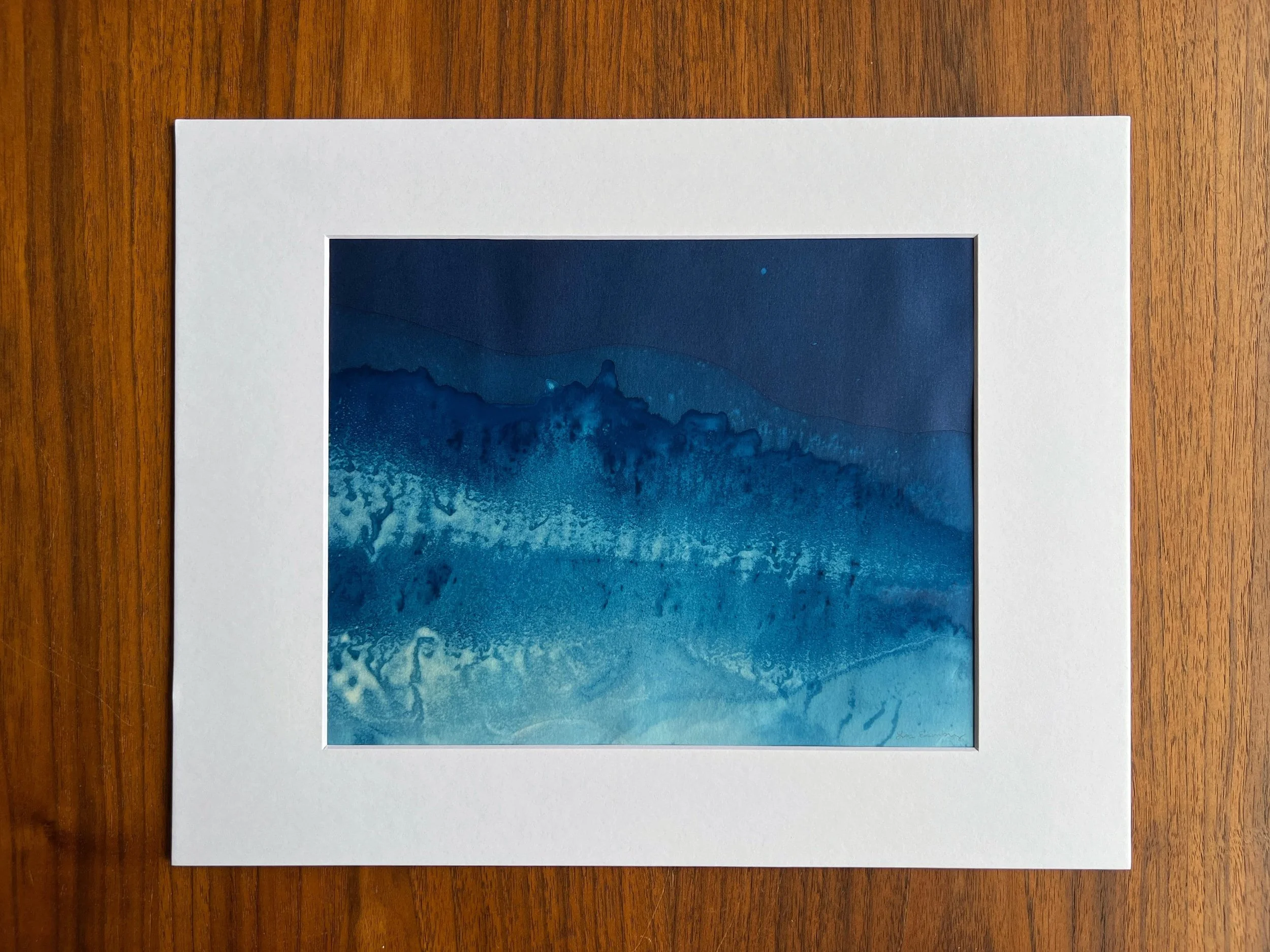 Original cyanotype made in the surf at Padre Island National Seashore on the Texas gulf coast.