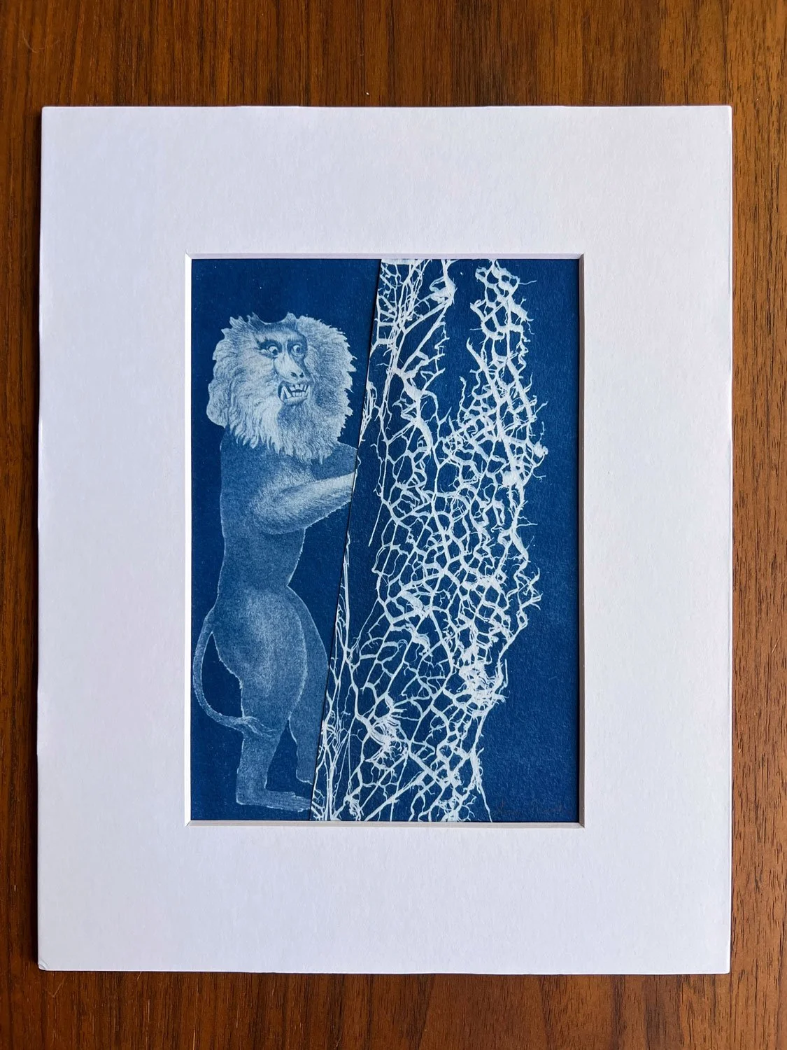 mrjones-cyanotype-2.jpg