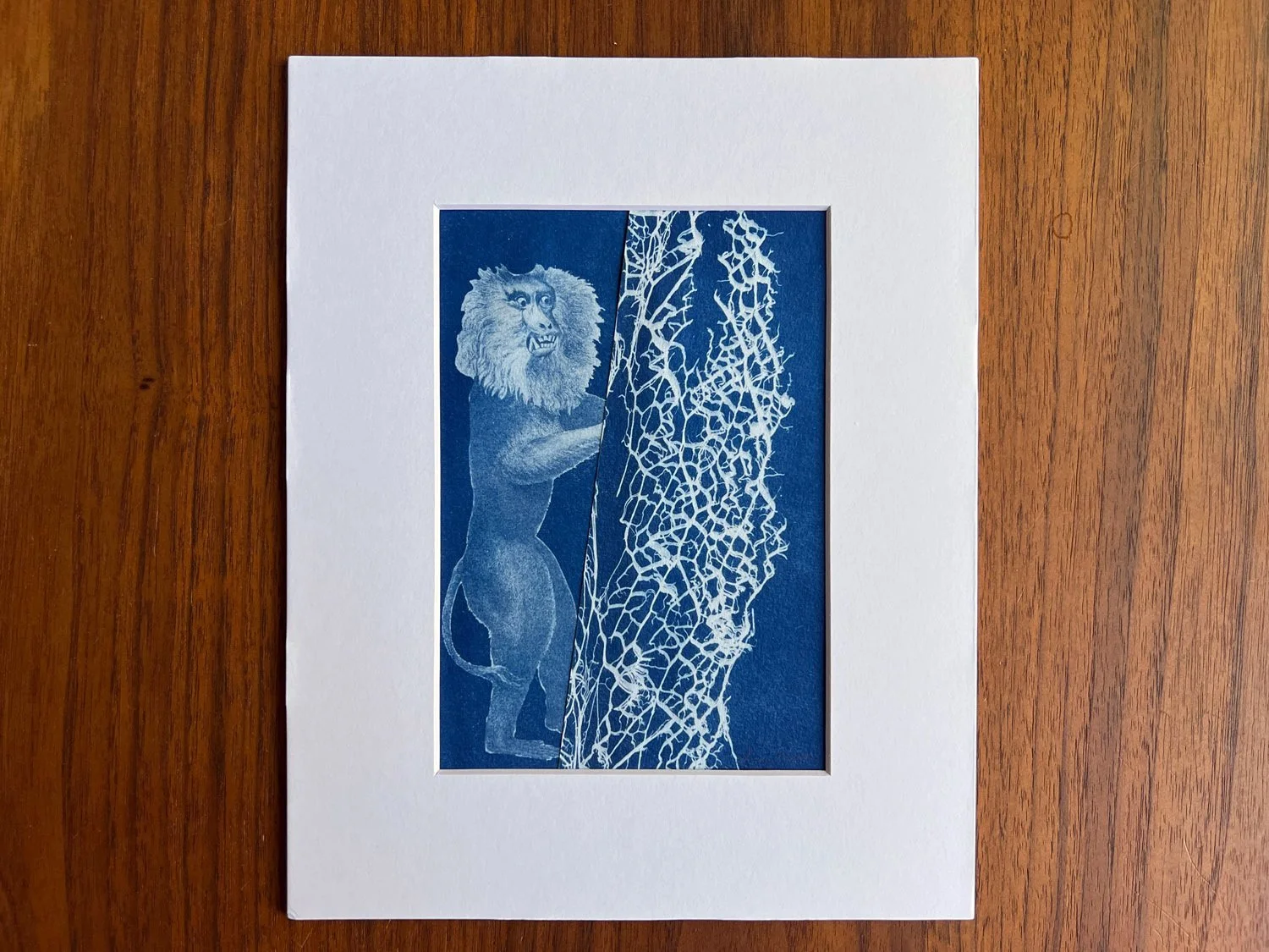Original collage made of two cyanotypes of an angry monkey and cactus innards.