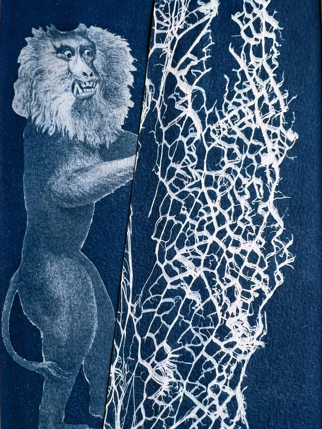 mrjones-cyanotype-3.jpg