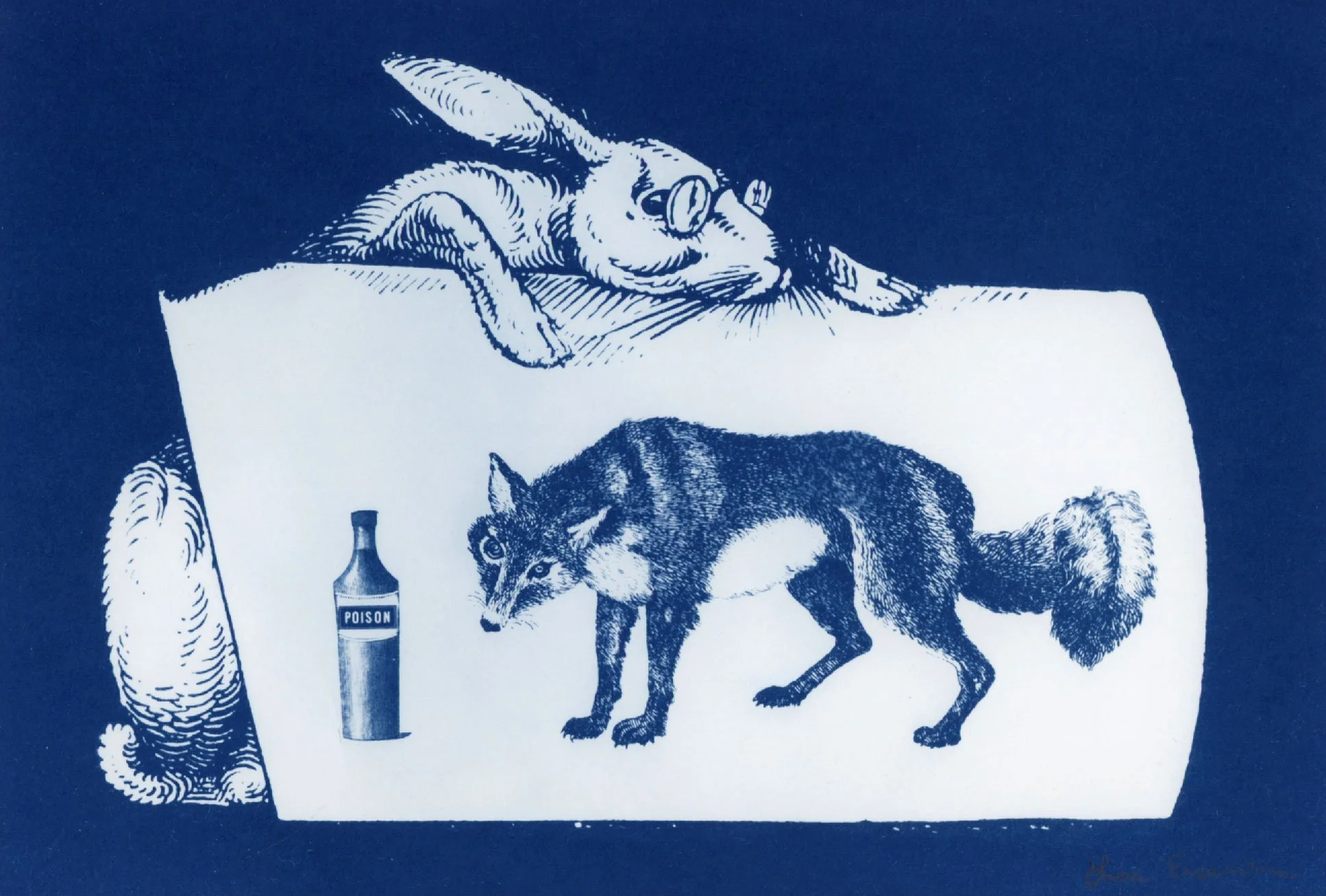 Cyanotype with an image of a rabit holding a sign. There is a fox looking at a bottle of poison on the sign.