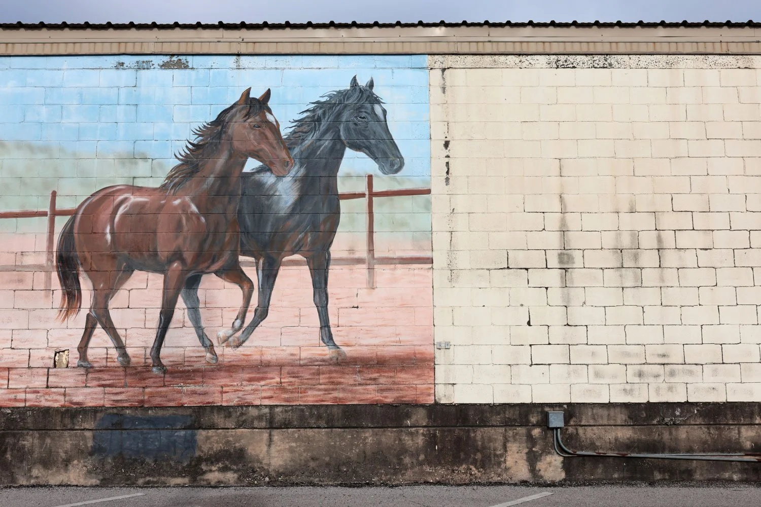 A mural on wall in Austin, Texas. There are two horses on the left side. The right side is blank.