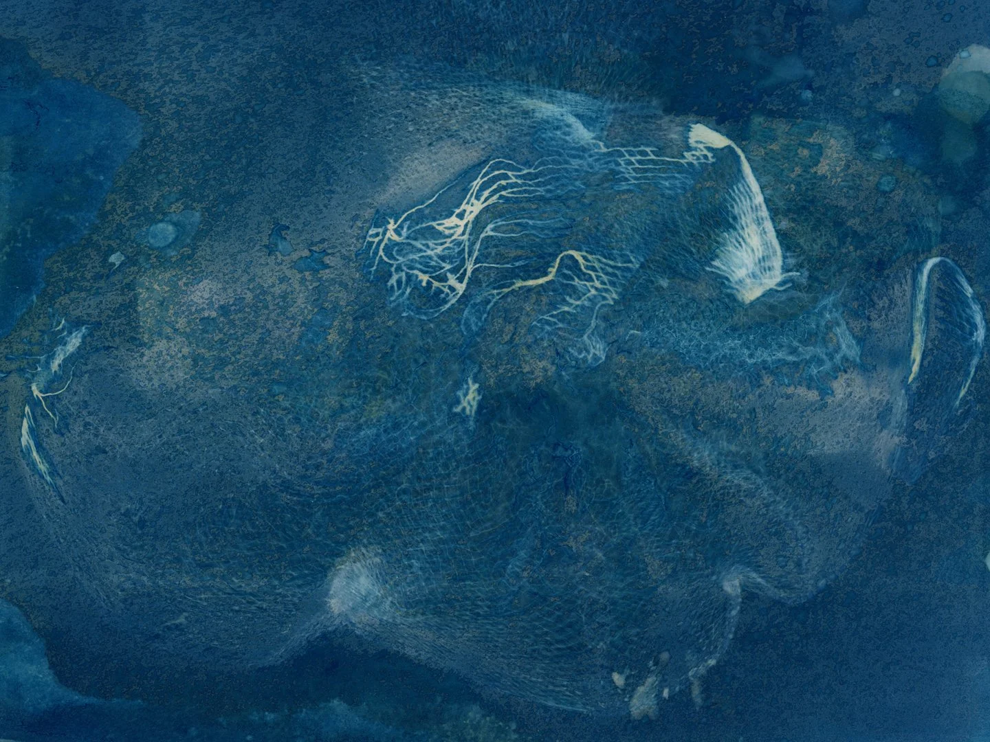 Abstract cyanotype with netting