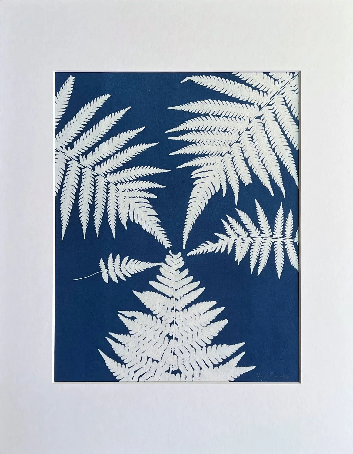 june-ferns-mat.jpg