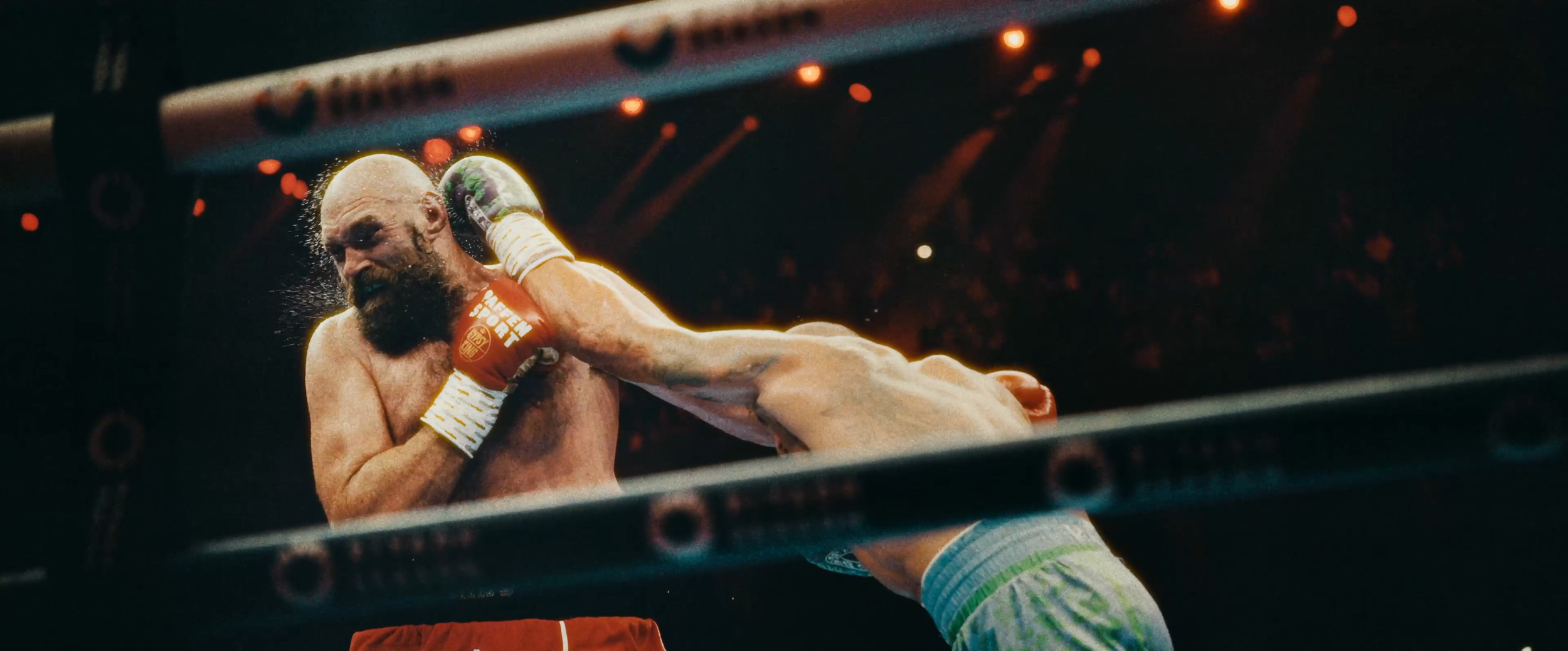 Usyk vs. Fury II