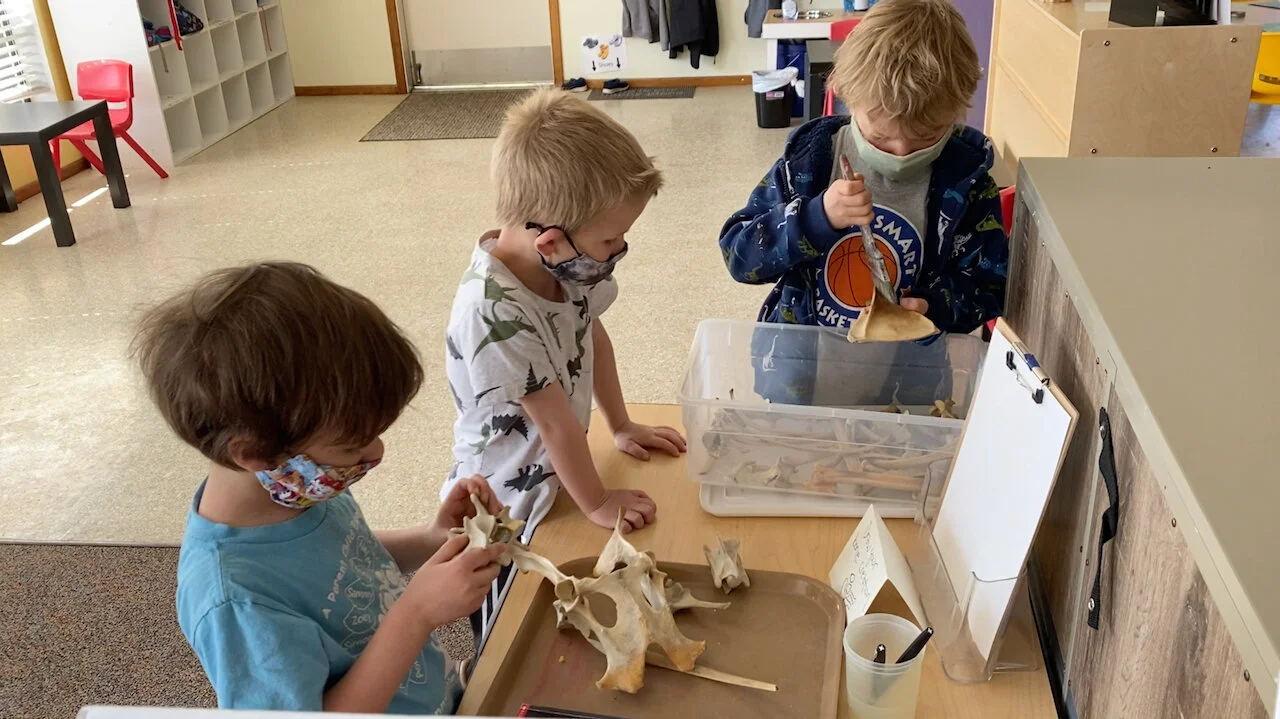 Screen Shot 2021-05-02 at 4.38.00 PM.jpeg