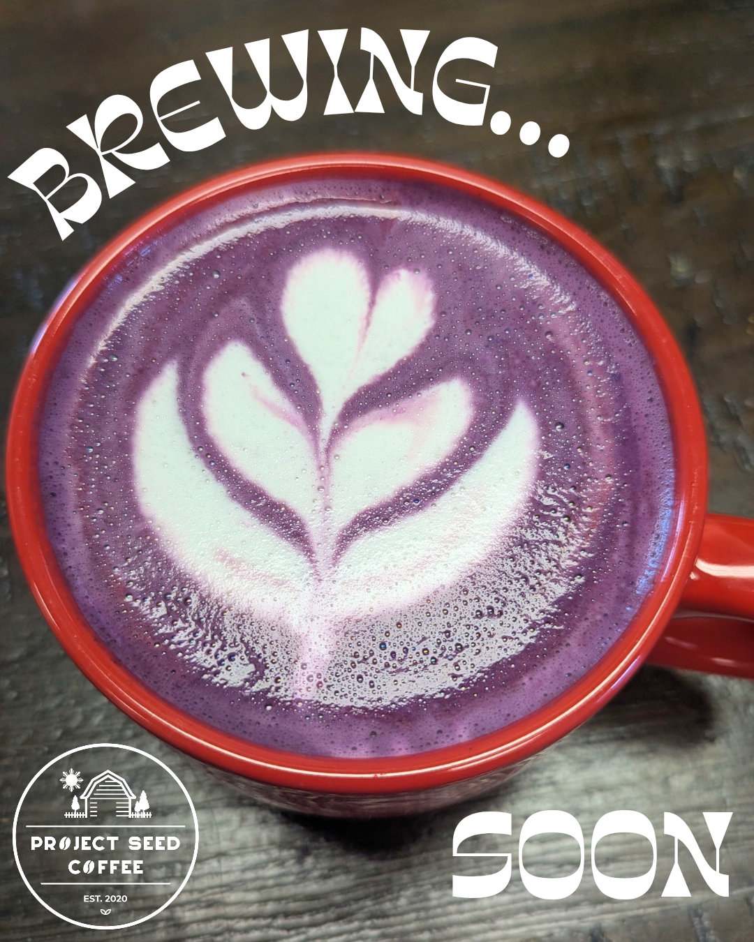 SOFT OPENING INVITATION - 10/16 — PROJECT SEED COFFEE