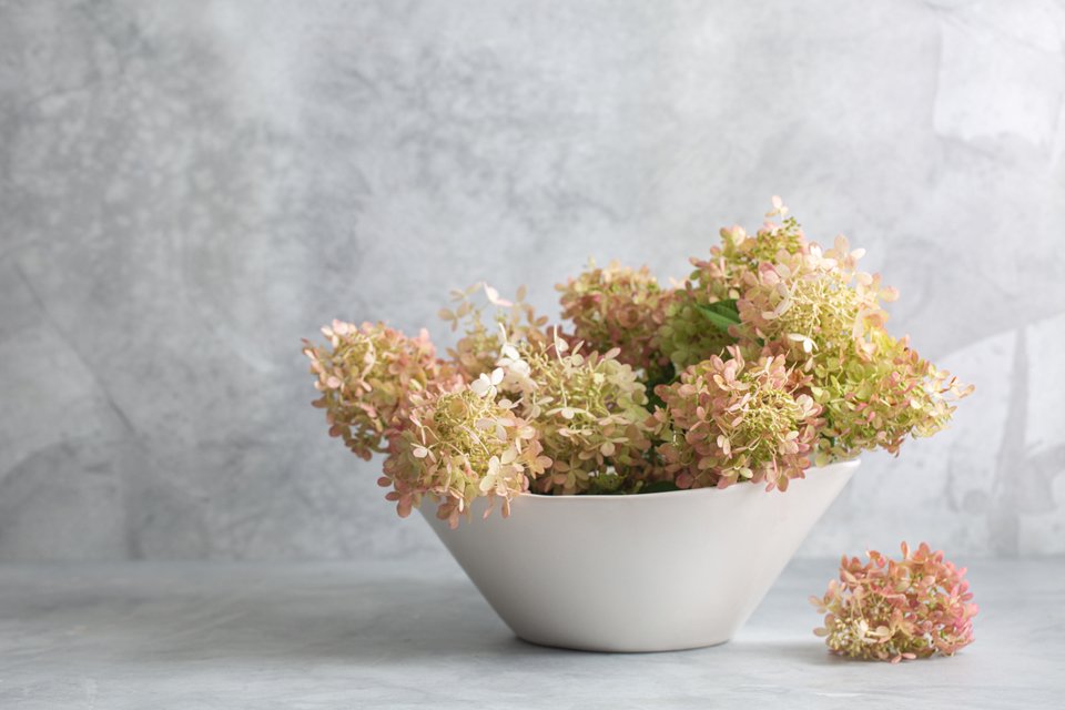 Japanese single w hydrangeasm.jpg