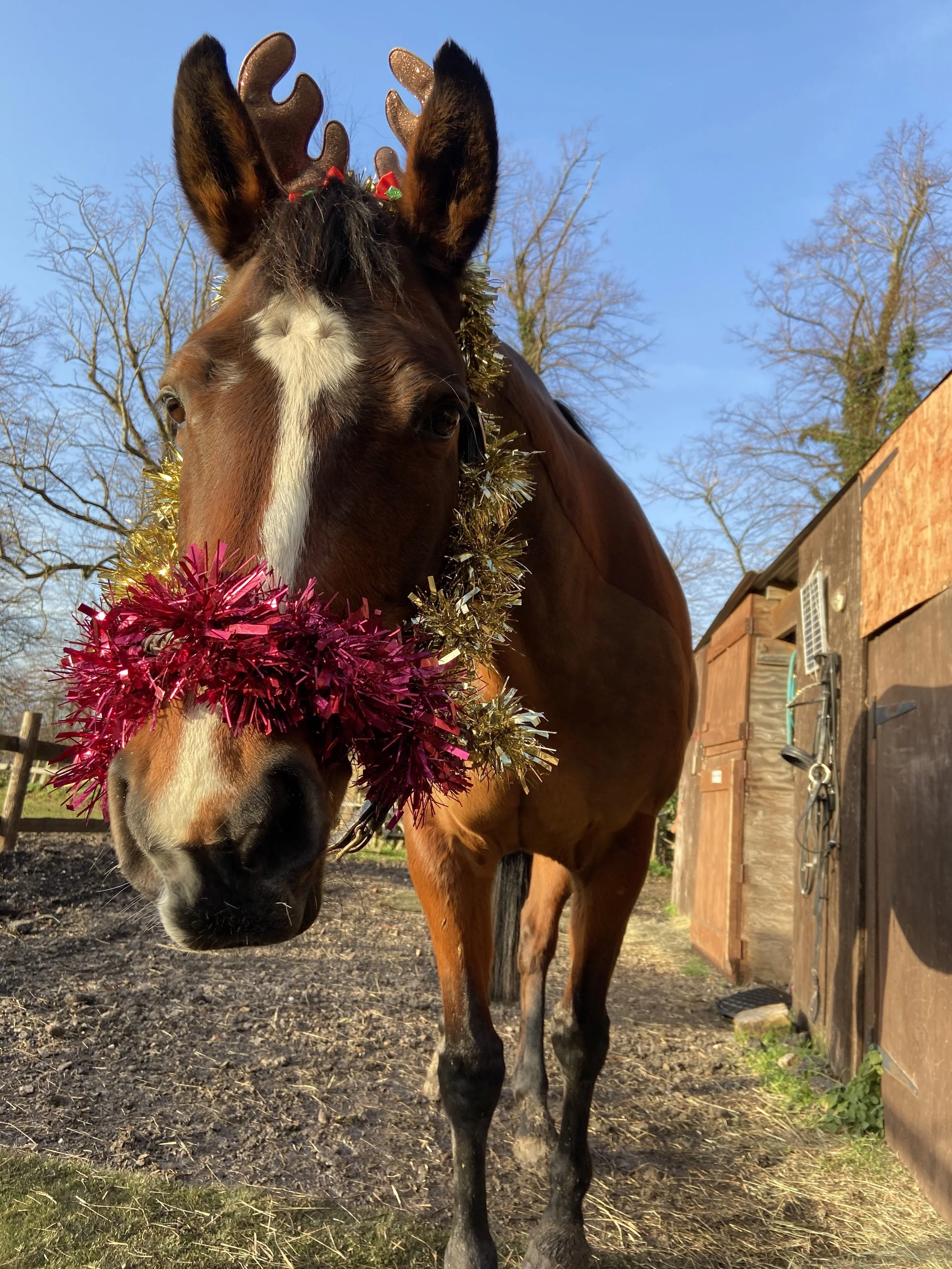 Chipstead RC Christmas Party