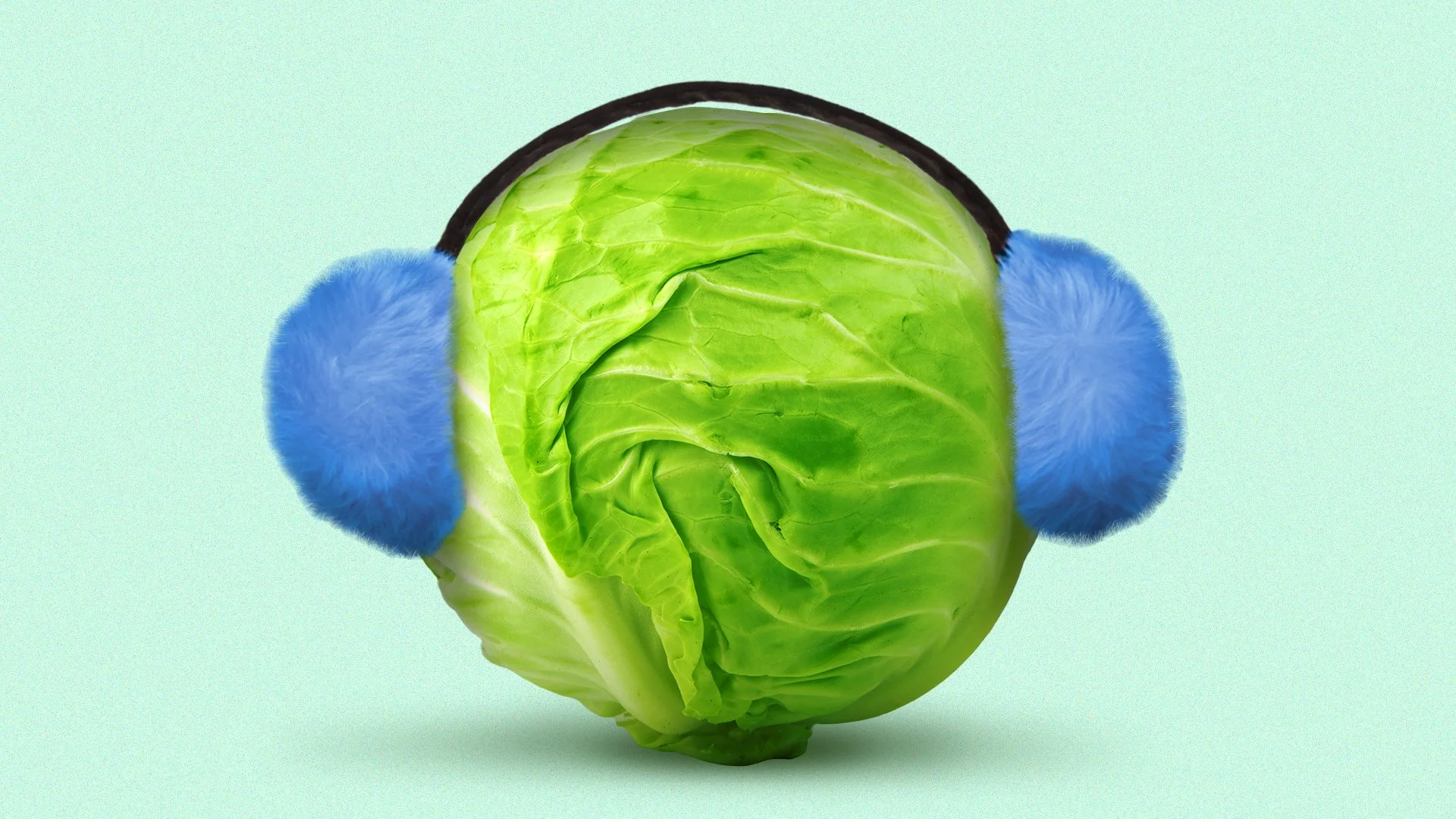 cold can't stop crops (axios) 