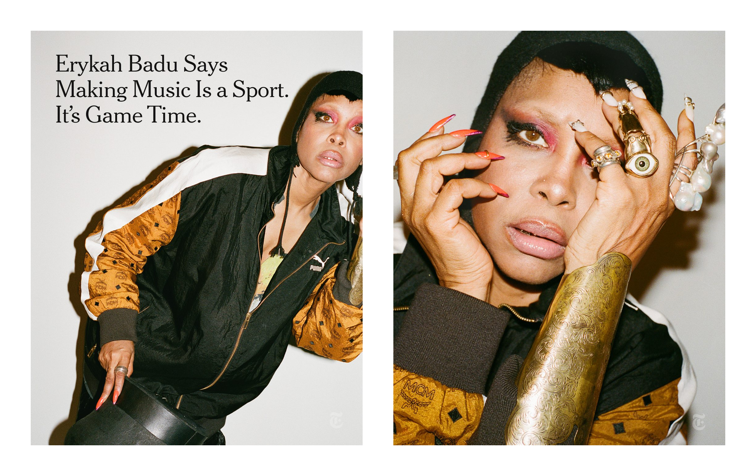 the new york times (click for link)