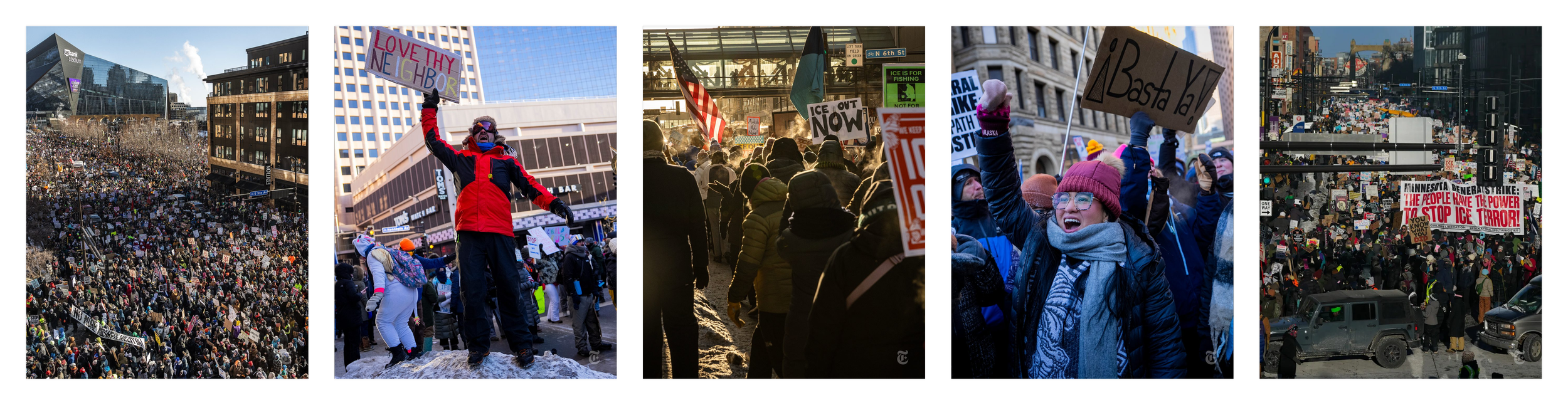 the new york times (click for link)