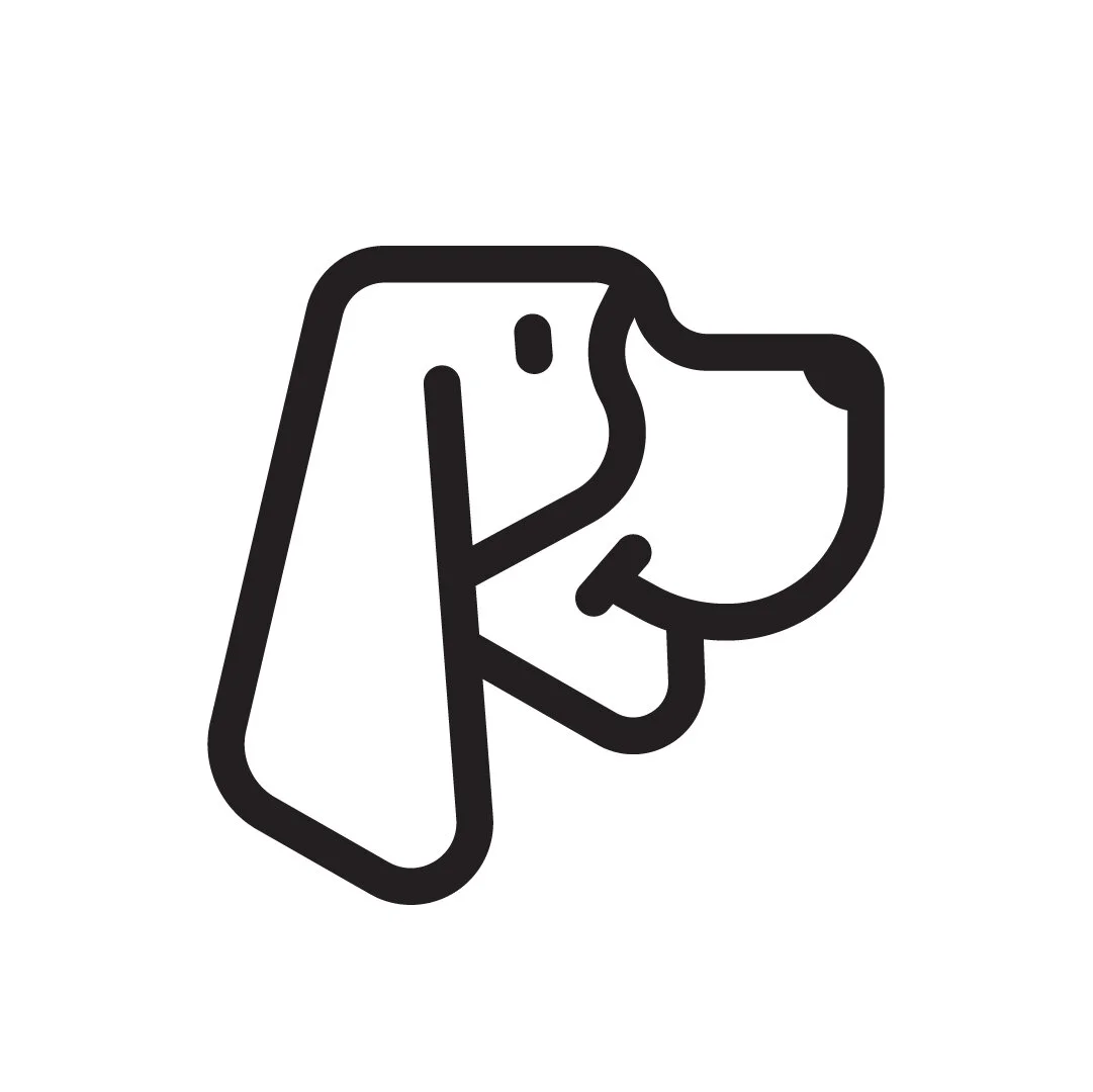 HappyBasset-Dog.jpg