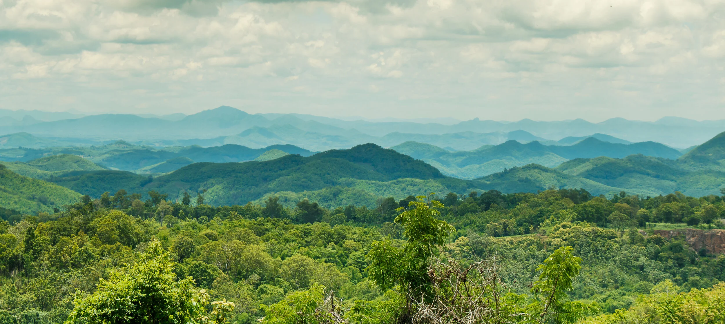 vecteezy_mountains-covered-with-forest-in-summer_1343614.jpg